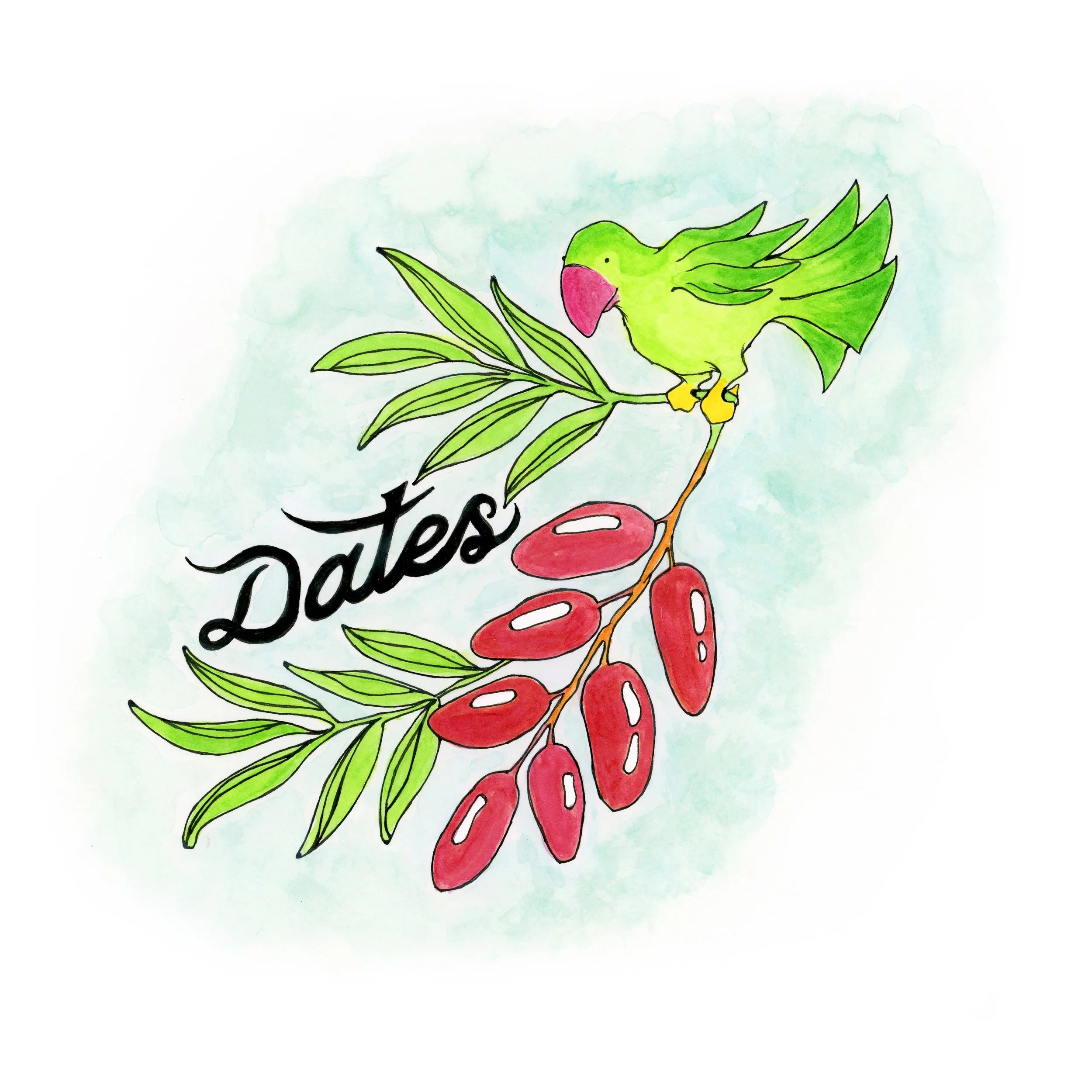 DATES PARROT PORTFOLIO PAGE FINAL.jpg