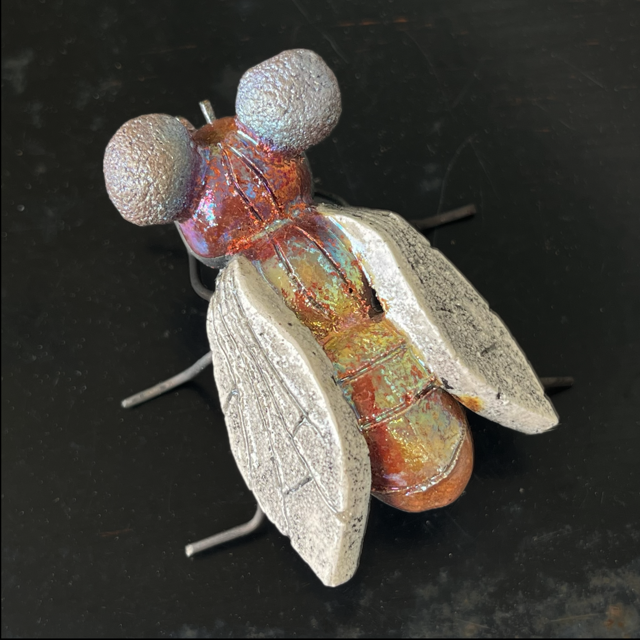 lucky fly