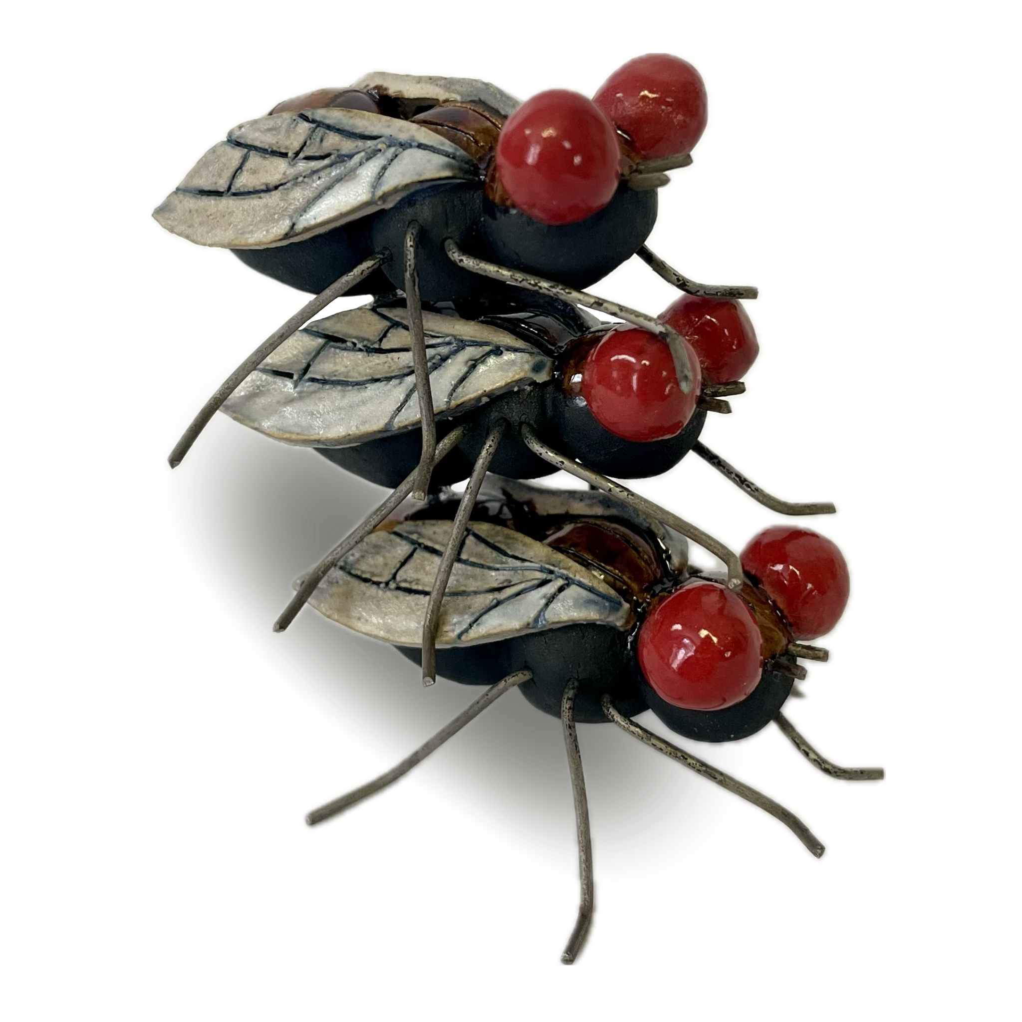 IMG_1312.png