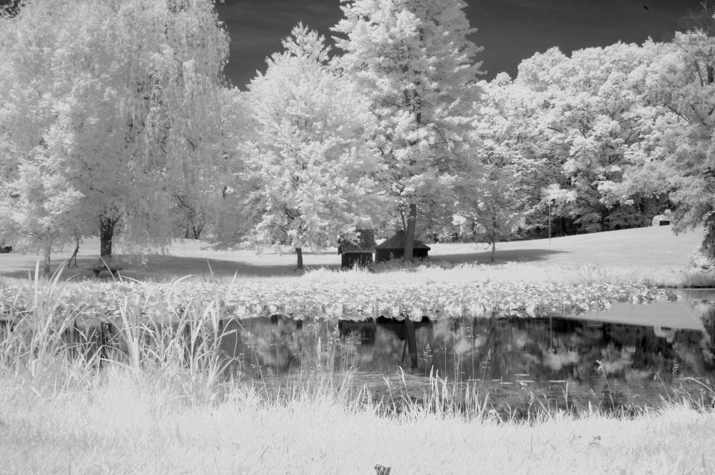 DSC_0002_b&w.jpg