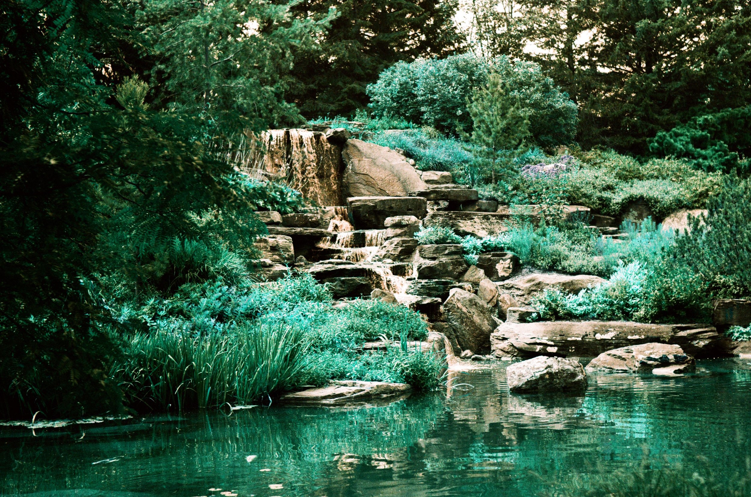 Fredrick Meijer Garden, Grand Rapids Michigan
Lomography Turquoise