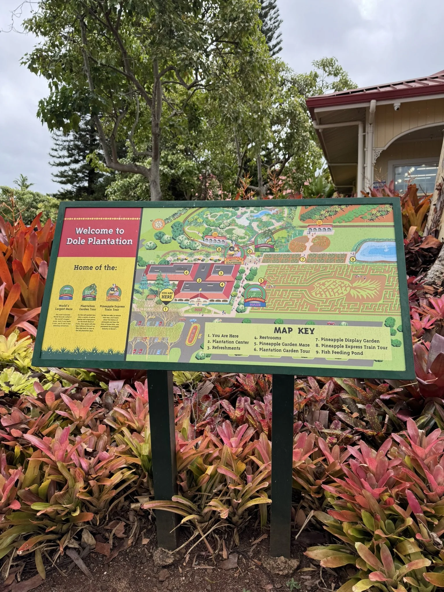 Dole Plantation Map