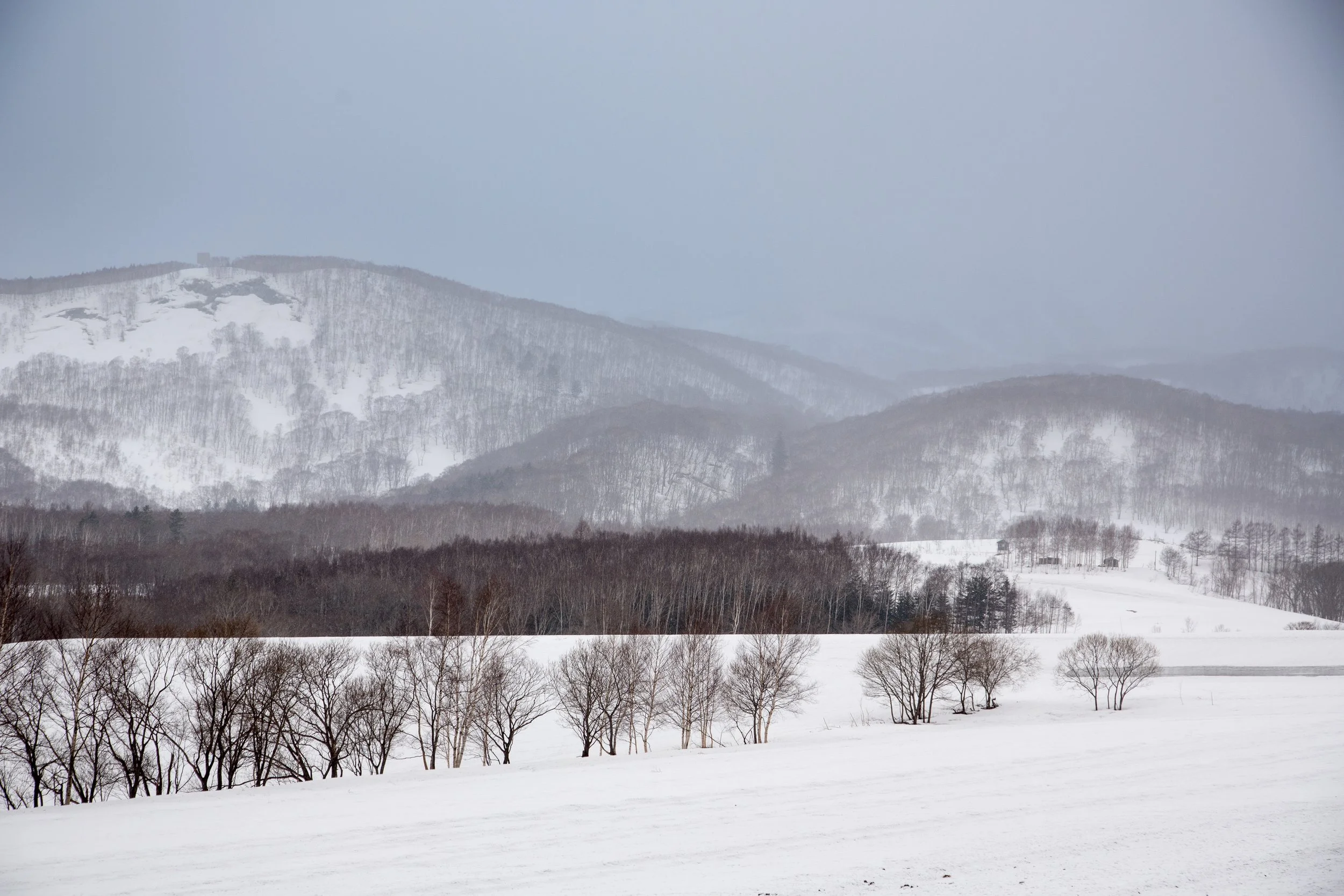 Niseko