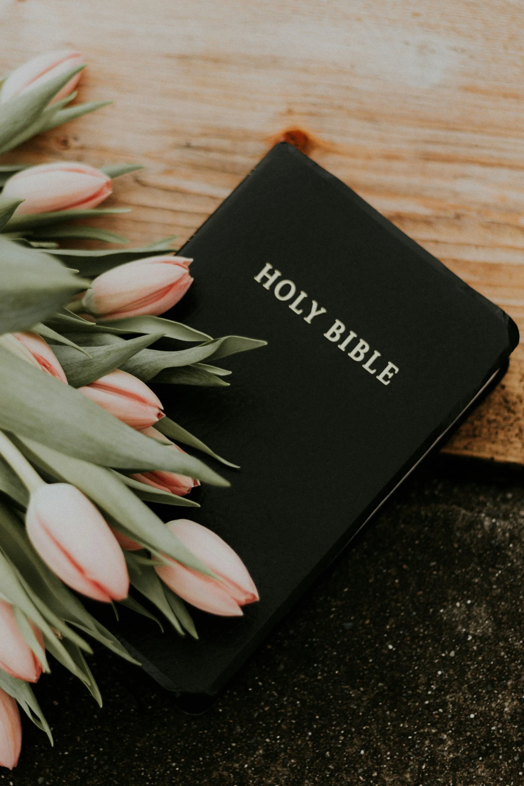 Bible Study - July 23