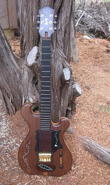 guitar2015.jpg