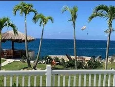 OIP (2).jpg (Copy) (Copy)