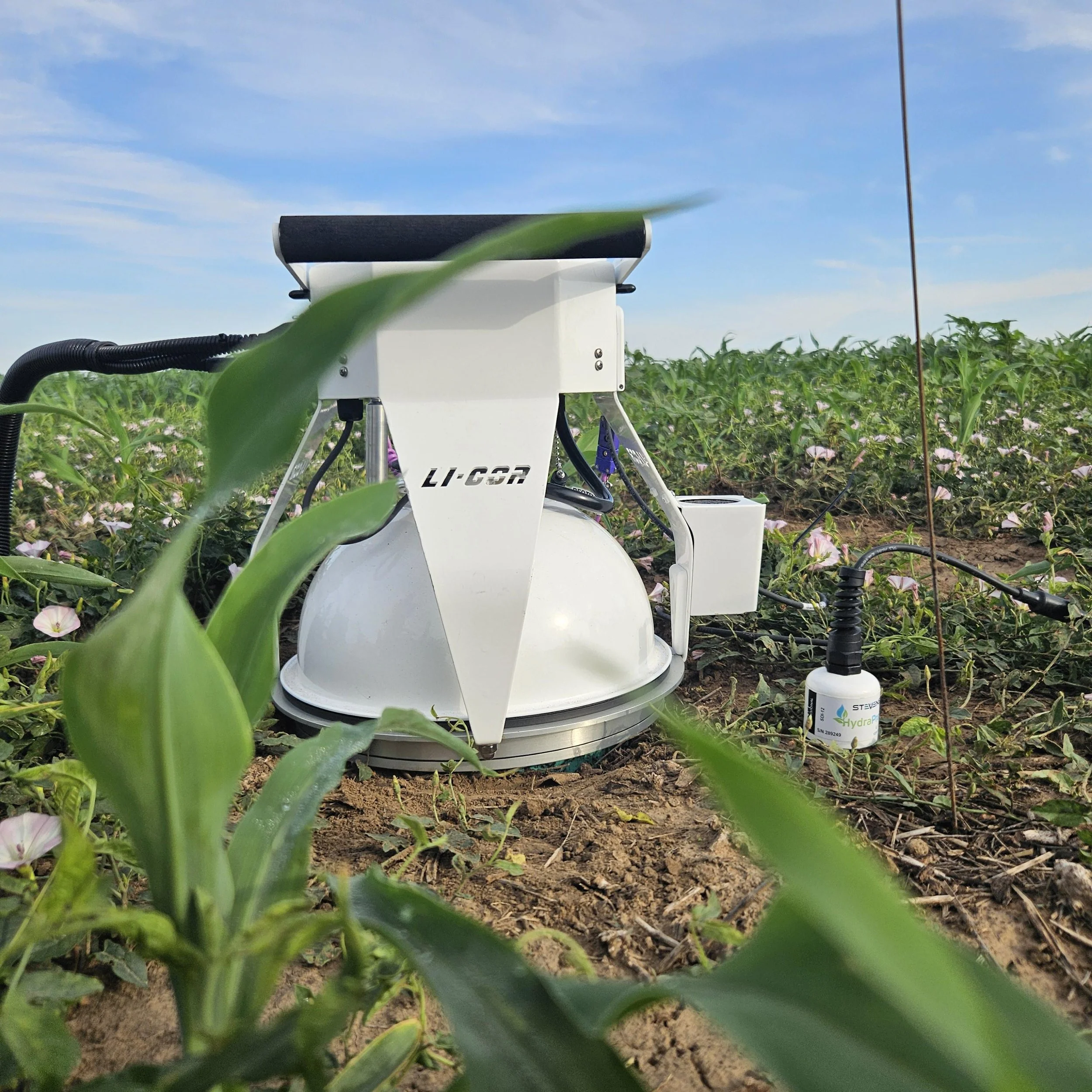 Our LI-COR automated chamber and trace GHG analyzer for real-time GHG flux measurements