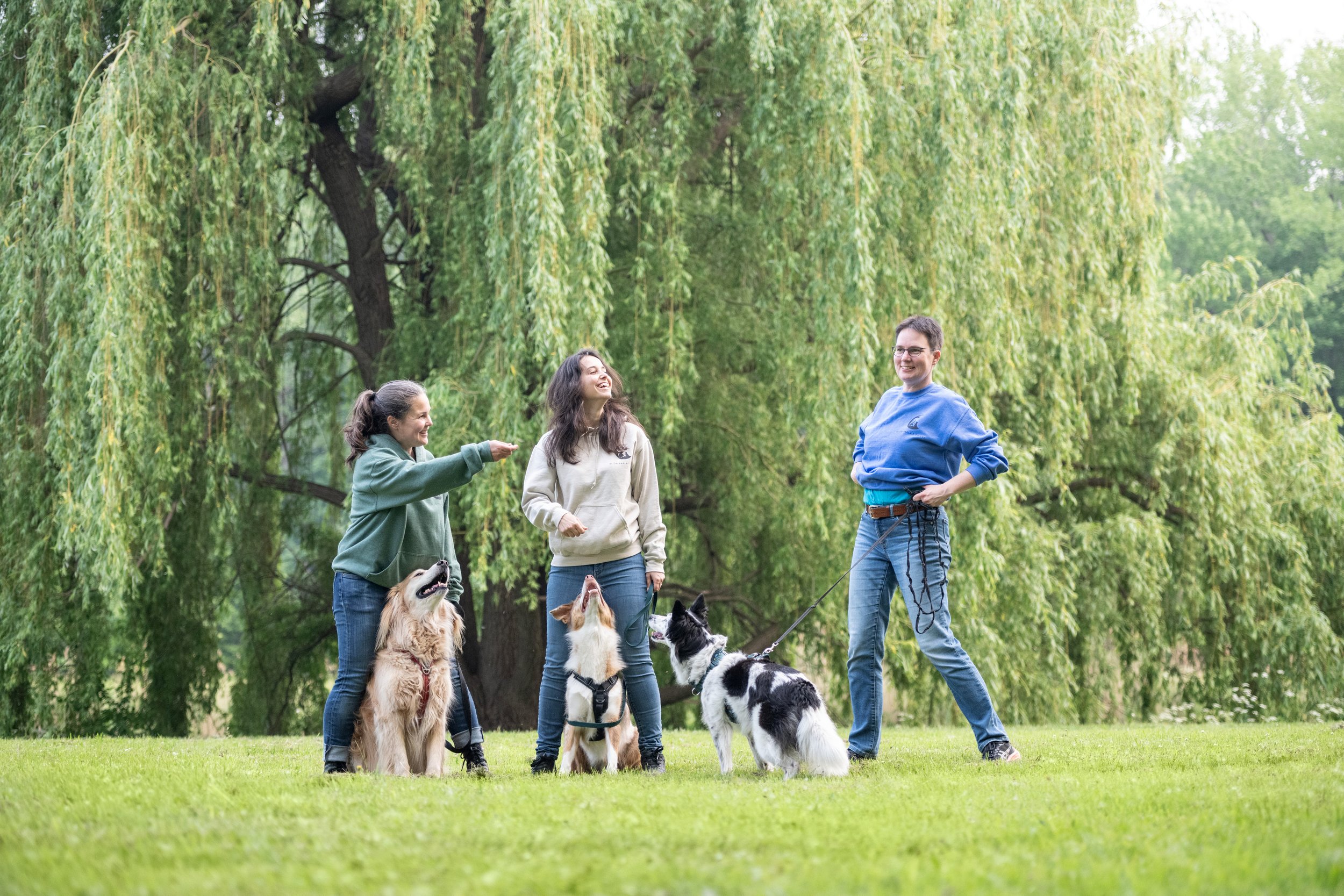 Si on parlait chiens-0914.jpg