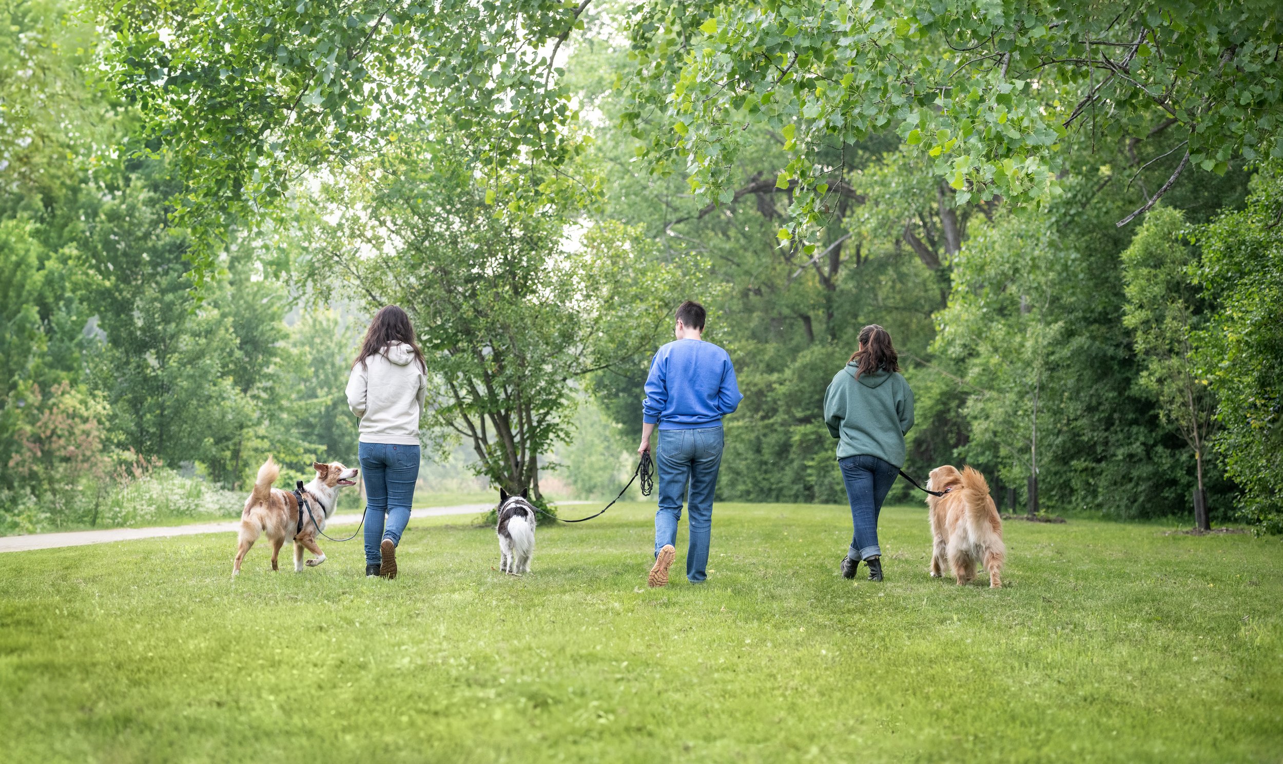 Si on parlait chiens-1156.jpg