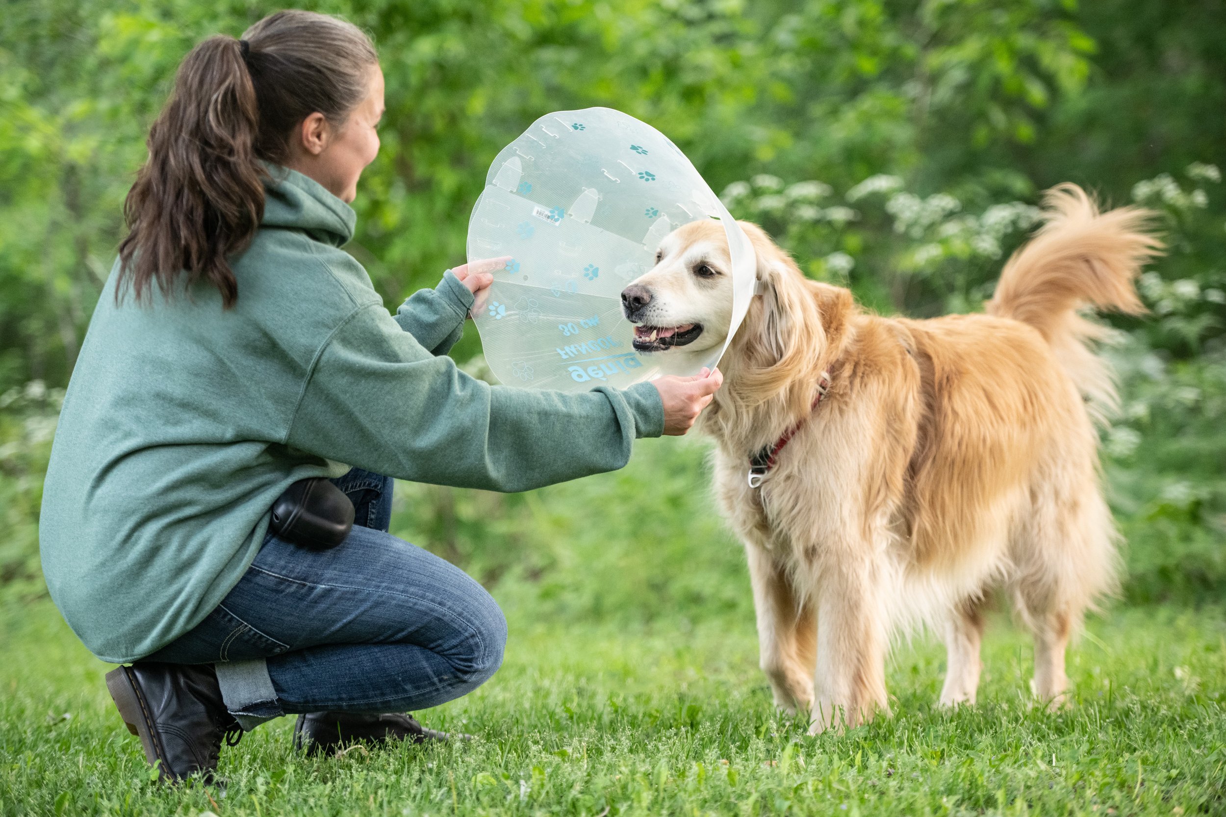 Si on parlait chiens-0502.jpg