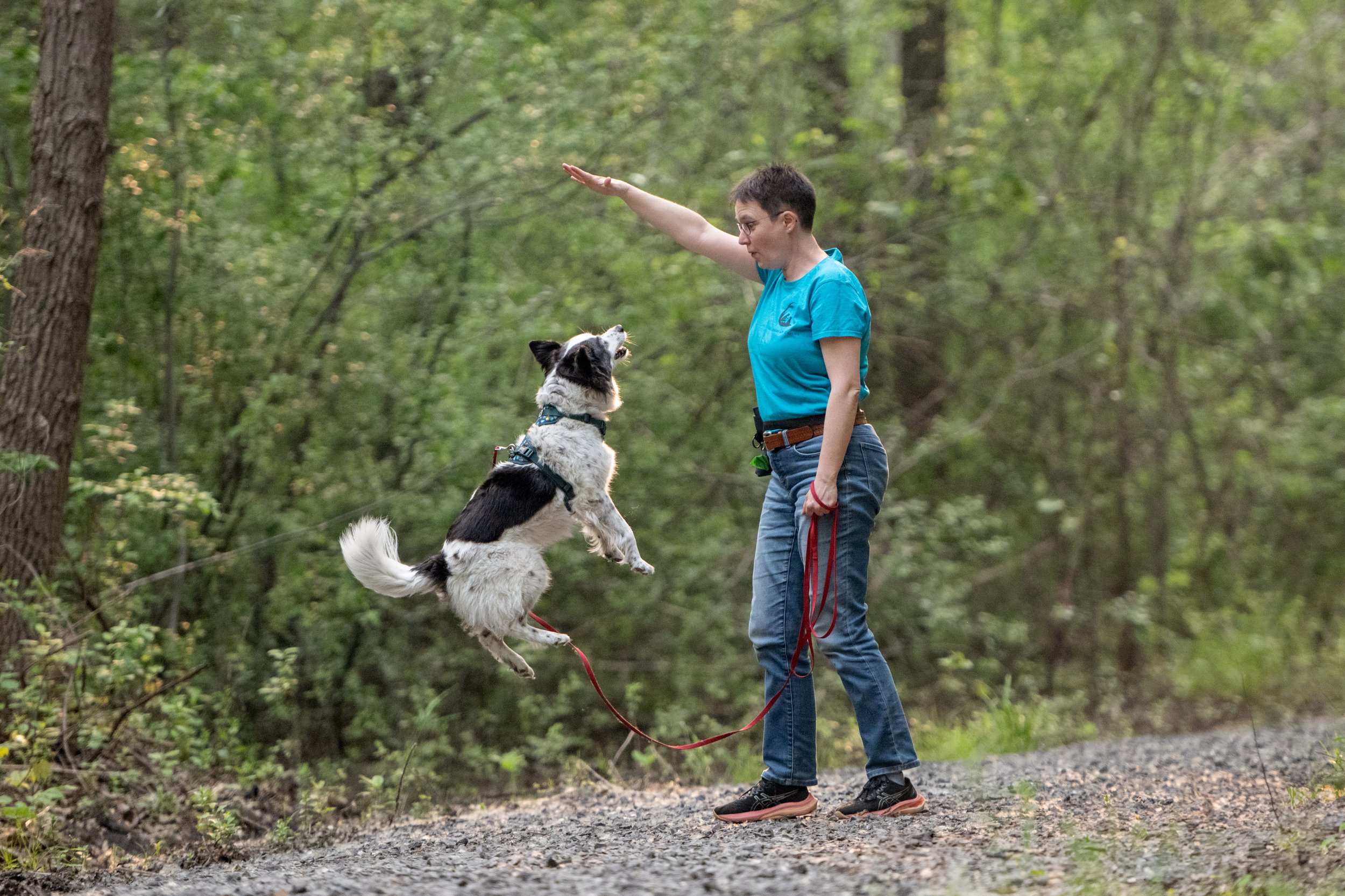 Si on parlait chiens-0752.jpg