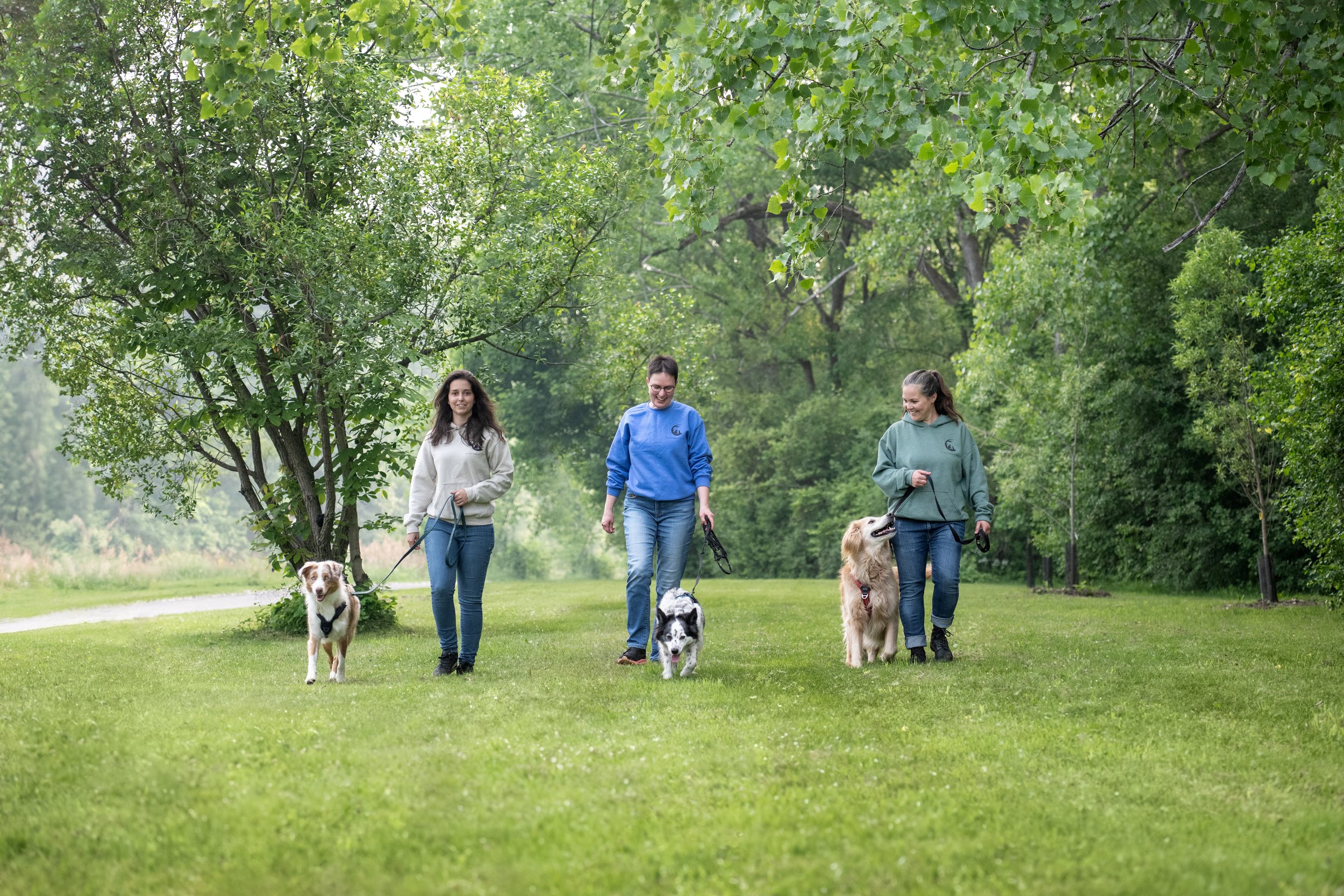 Si on parlait chiens-1129.jpg