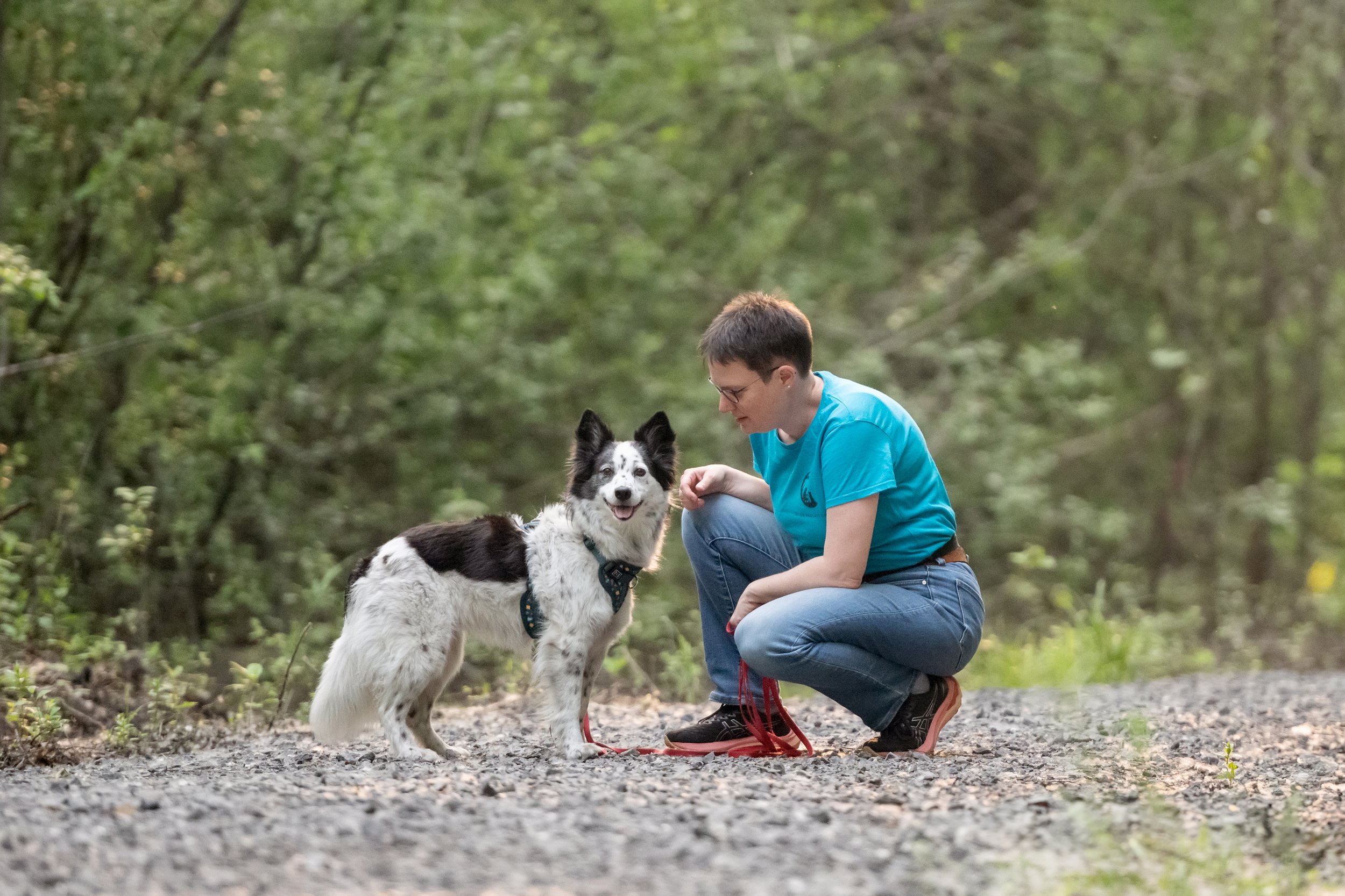 Si on parlait chiens-0733.jpg