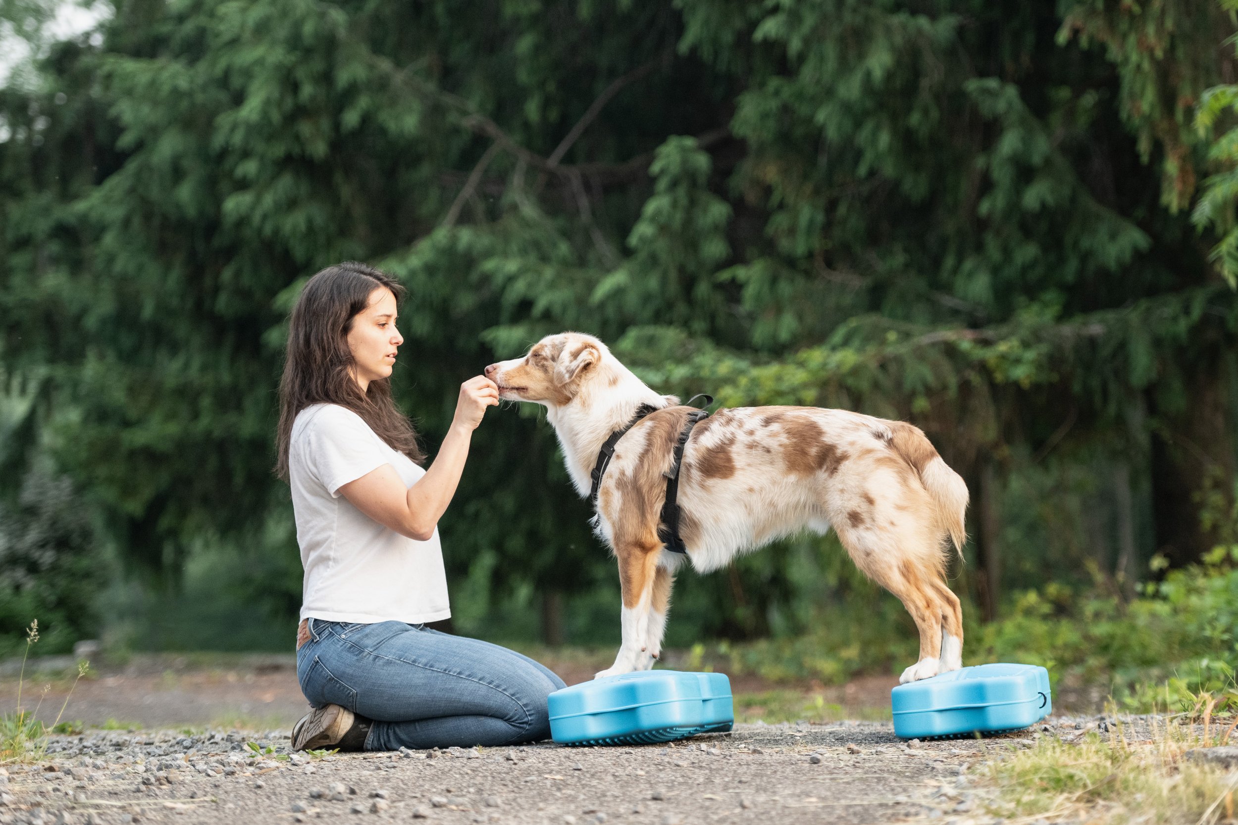 Si on parlait chiens-1398.jpg