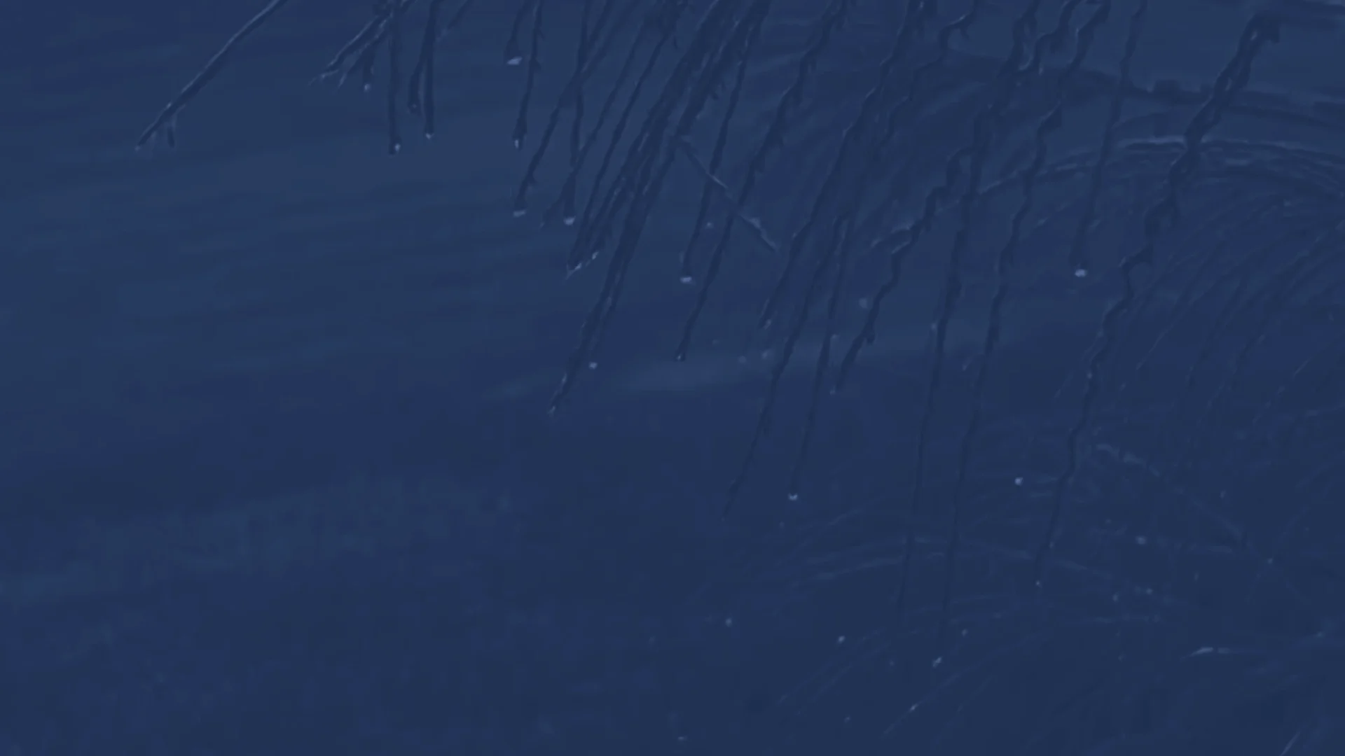 BlueStill.webp