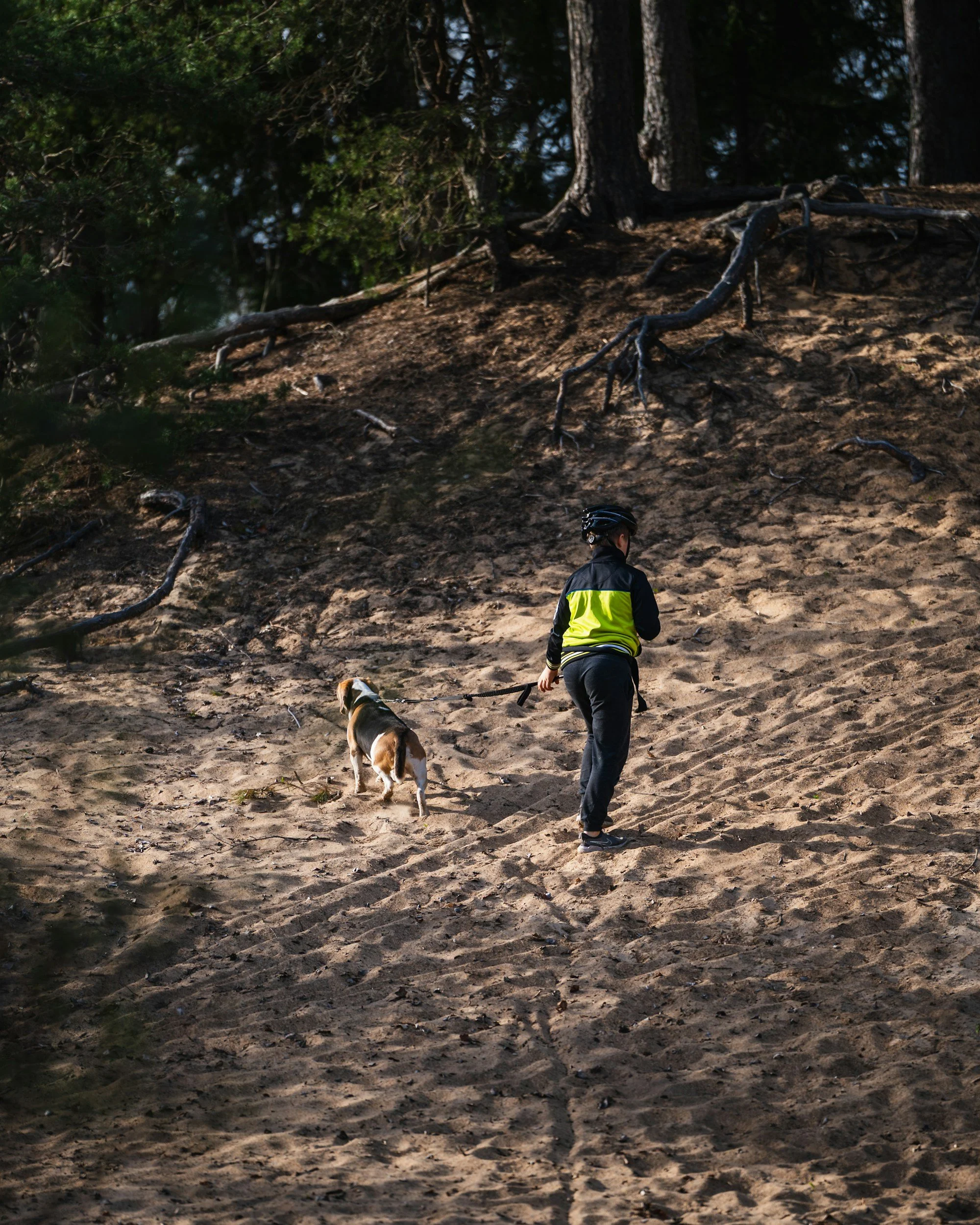 off-leash adventures