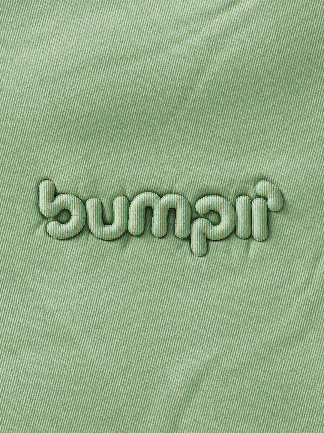 bumpii_clothLogo_v2_resized.png