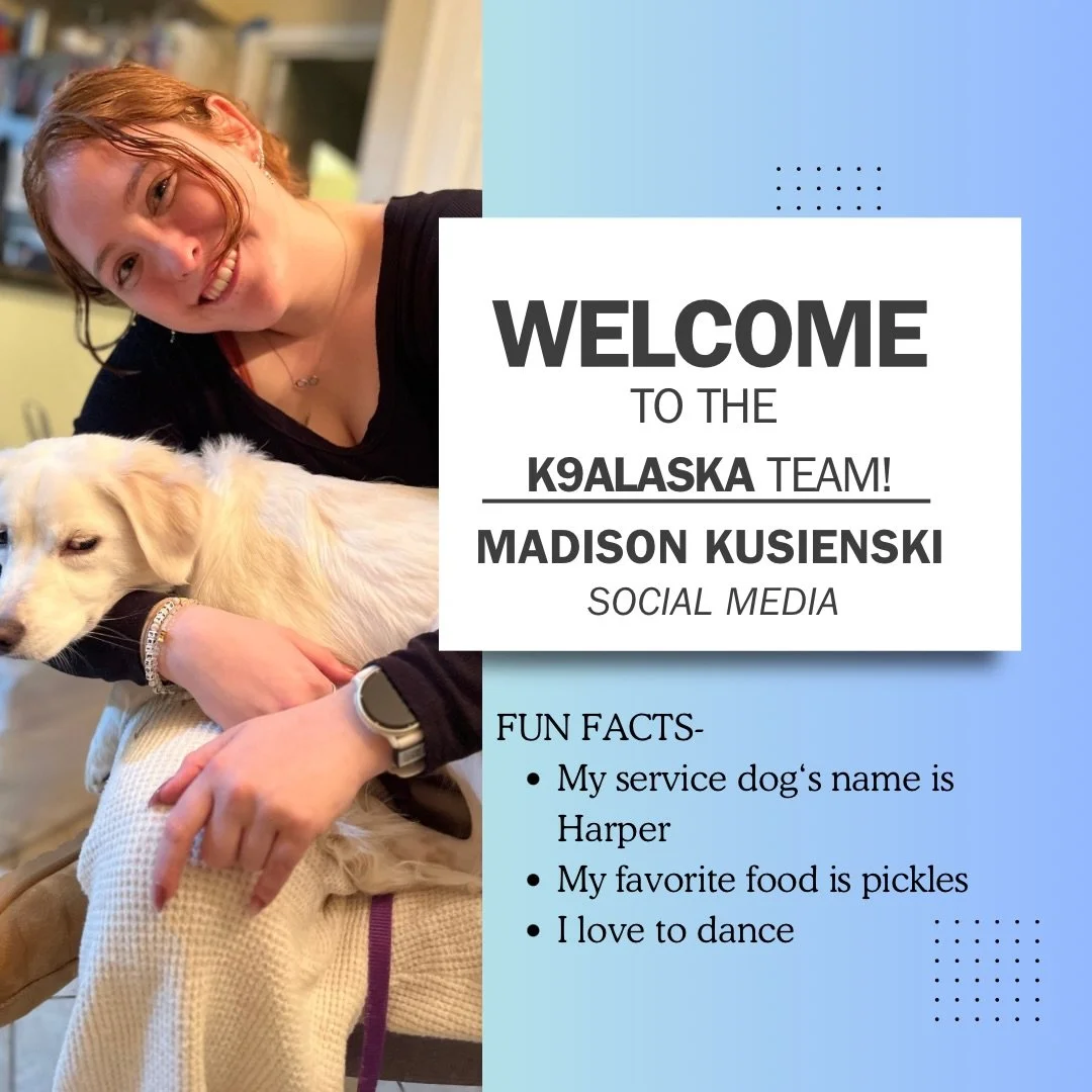 Welcome to the K9alaska team Madison! We are so excited to have you join us! 🤍🐾🦮

#k9alaska #k9alaskagear #k9alaskadogs #k9alaskalife #k9alaskabrand #k9alaskastyle #k9alaskashop #k9alaskacommunity #k9alaskapack #k9alaskaworkingdogs #k9alaskaservic