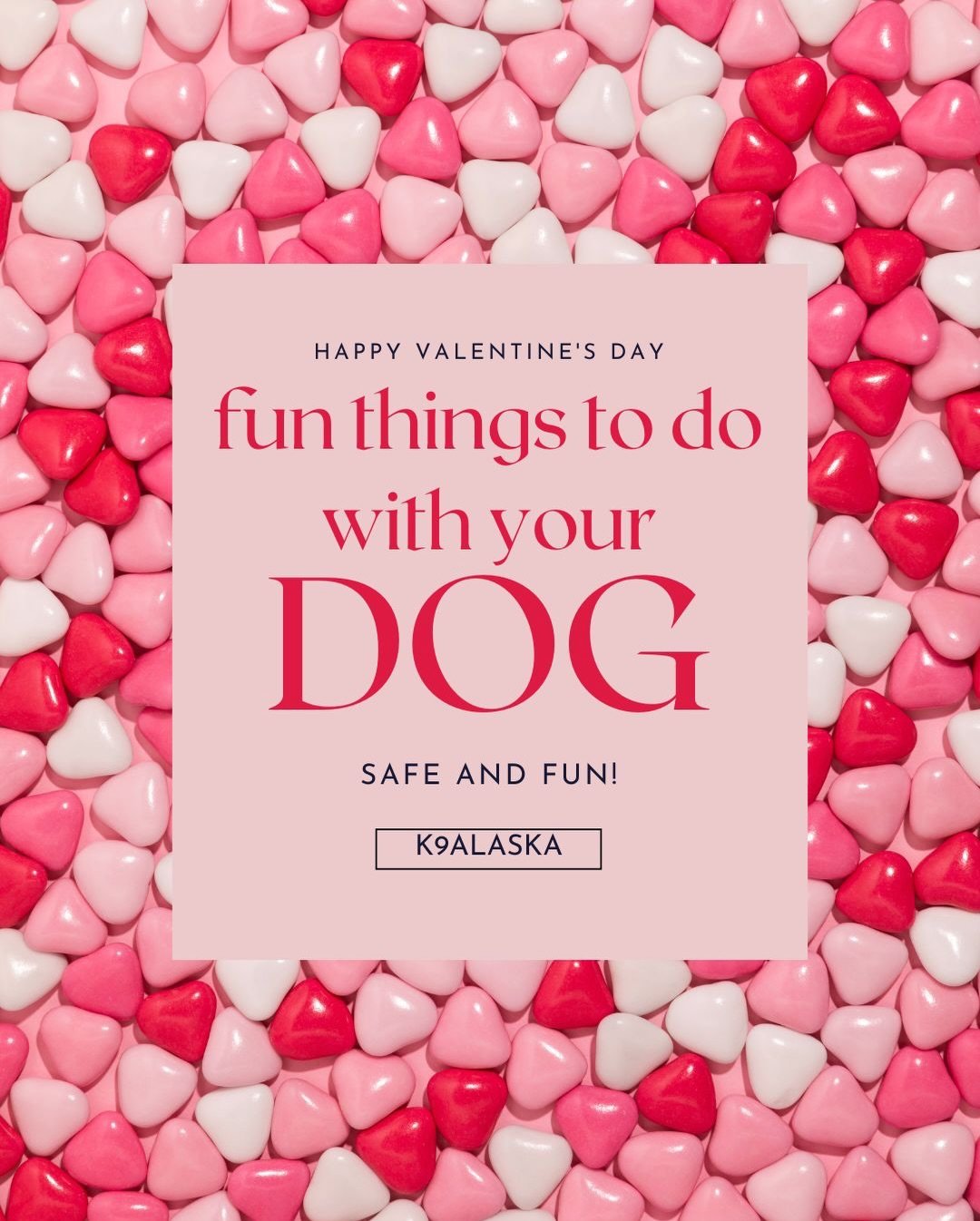 HAPPY VALENTINE&rsquo;S DAY FROM K9ALASKA! Make sure whatever you end up doing with your dog, it is safe for them and you! (if you are baking them something&mdash; make sure it is with pet safe ingredients!) Have the best time ever and celebrate with