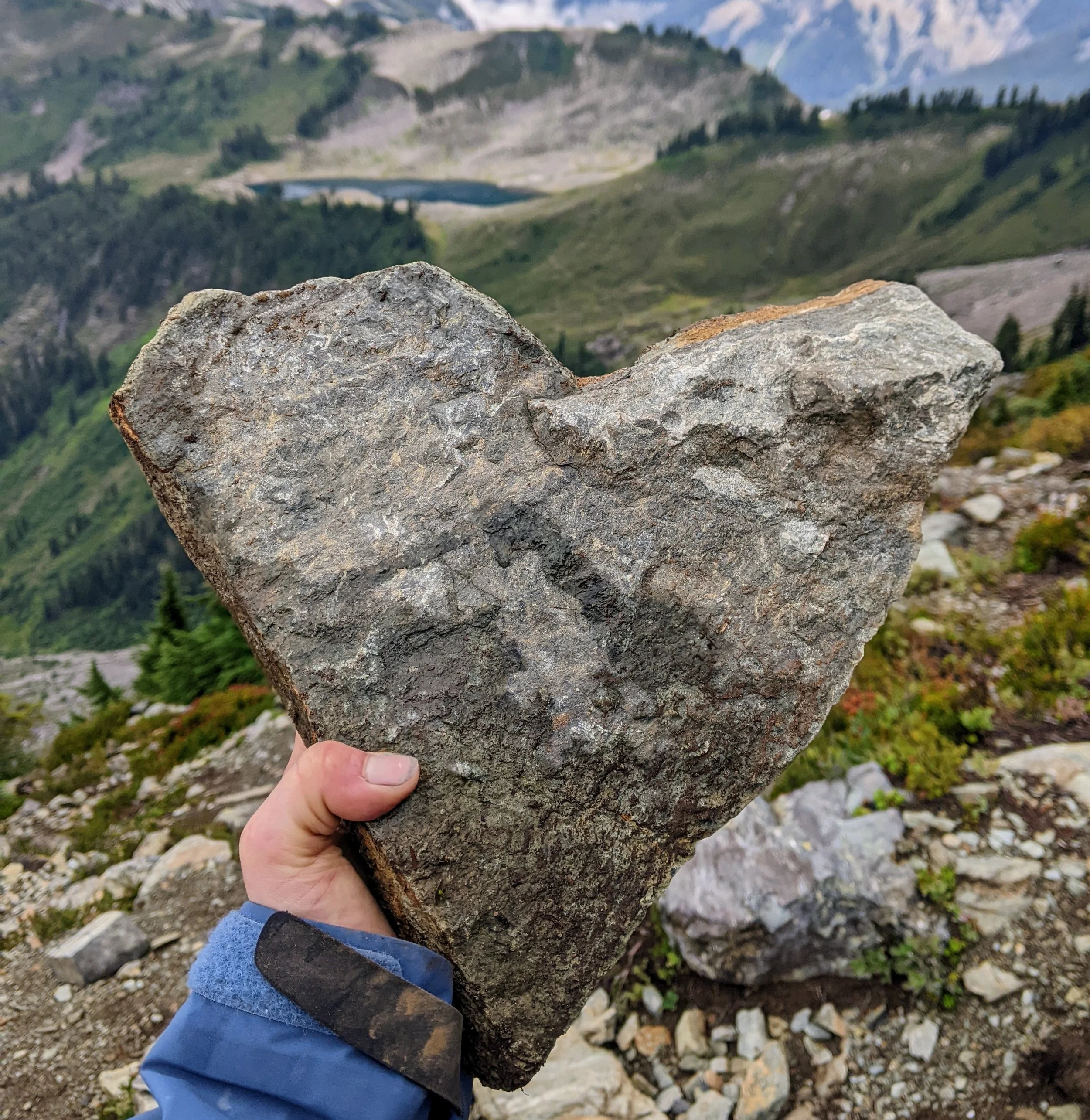 Hand holding a large gray rock in a mountainous landscape with green slopes, rocks, and trees in the background.