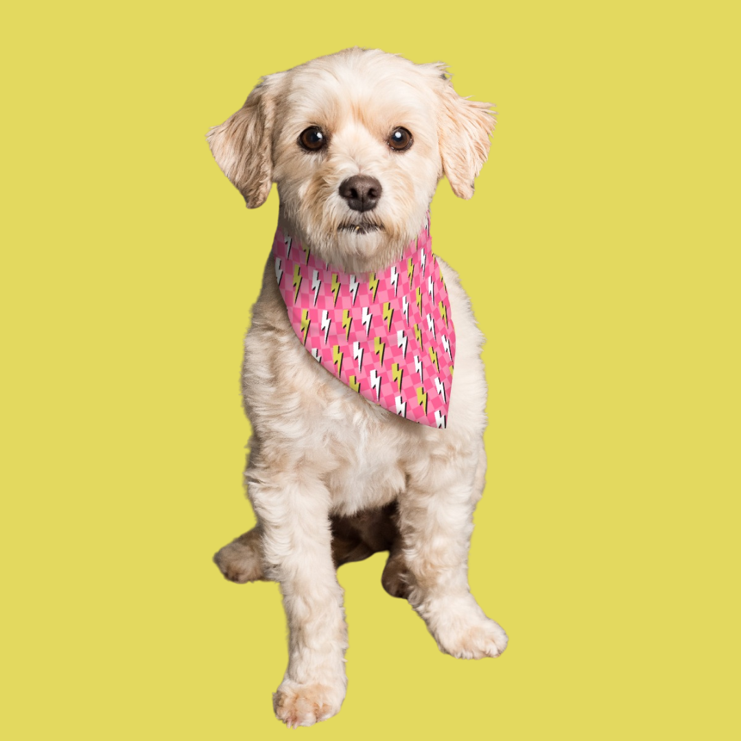 Skull-Lightning-Dog-Bandana-by-LoveChel3.png