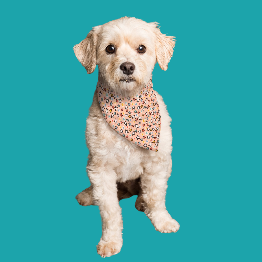 Trouble-Dog-Bandana-by-LoveChel3.png