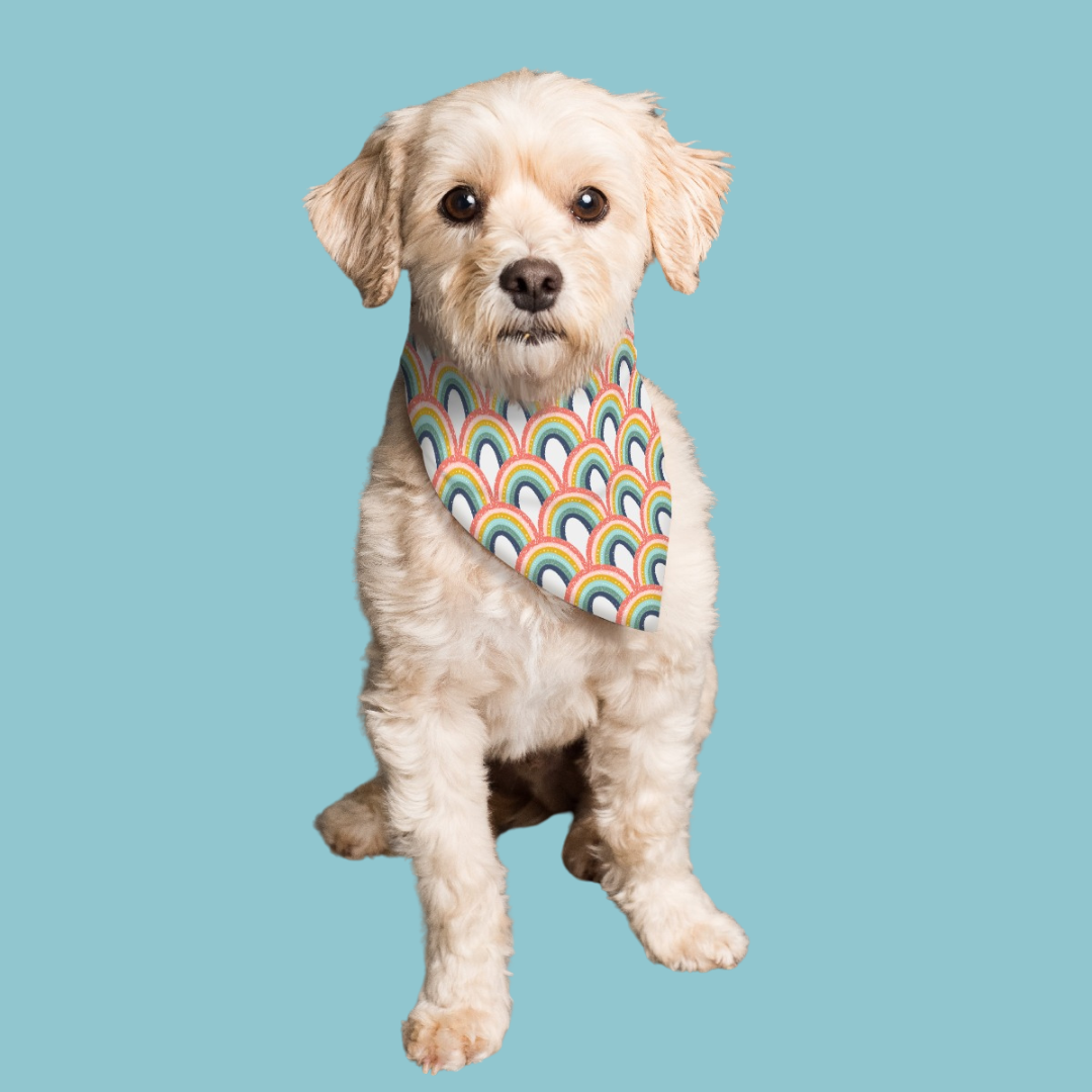 Rollerskating-Capybara-Dog-Bandana-by-LoveChel3.png