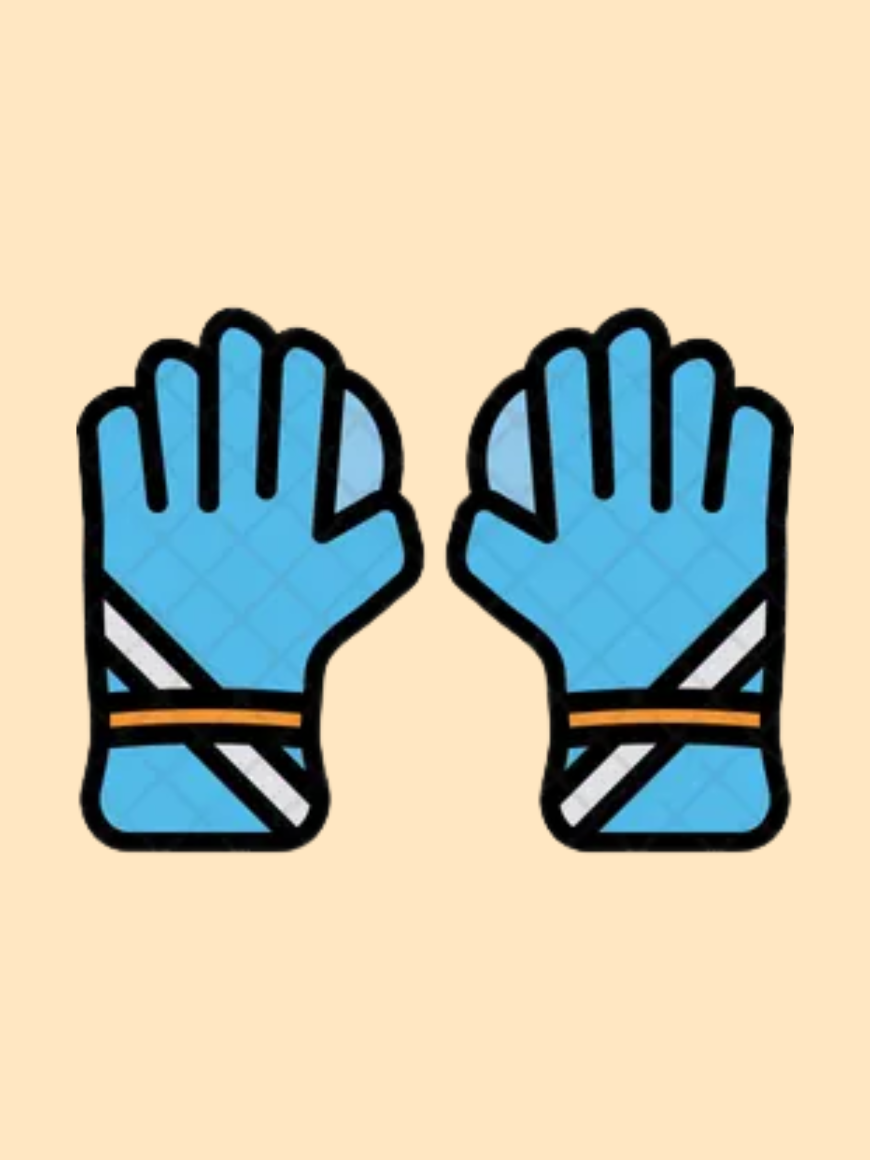 The Anatomy of Wicket-Keeping Gloves