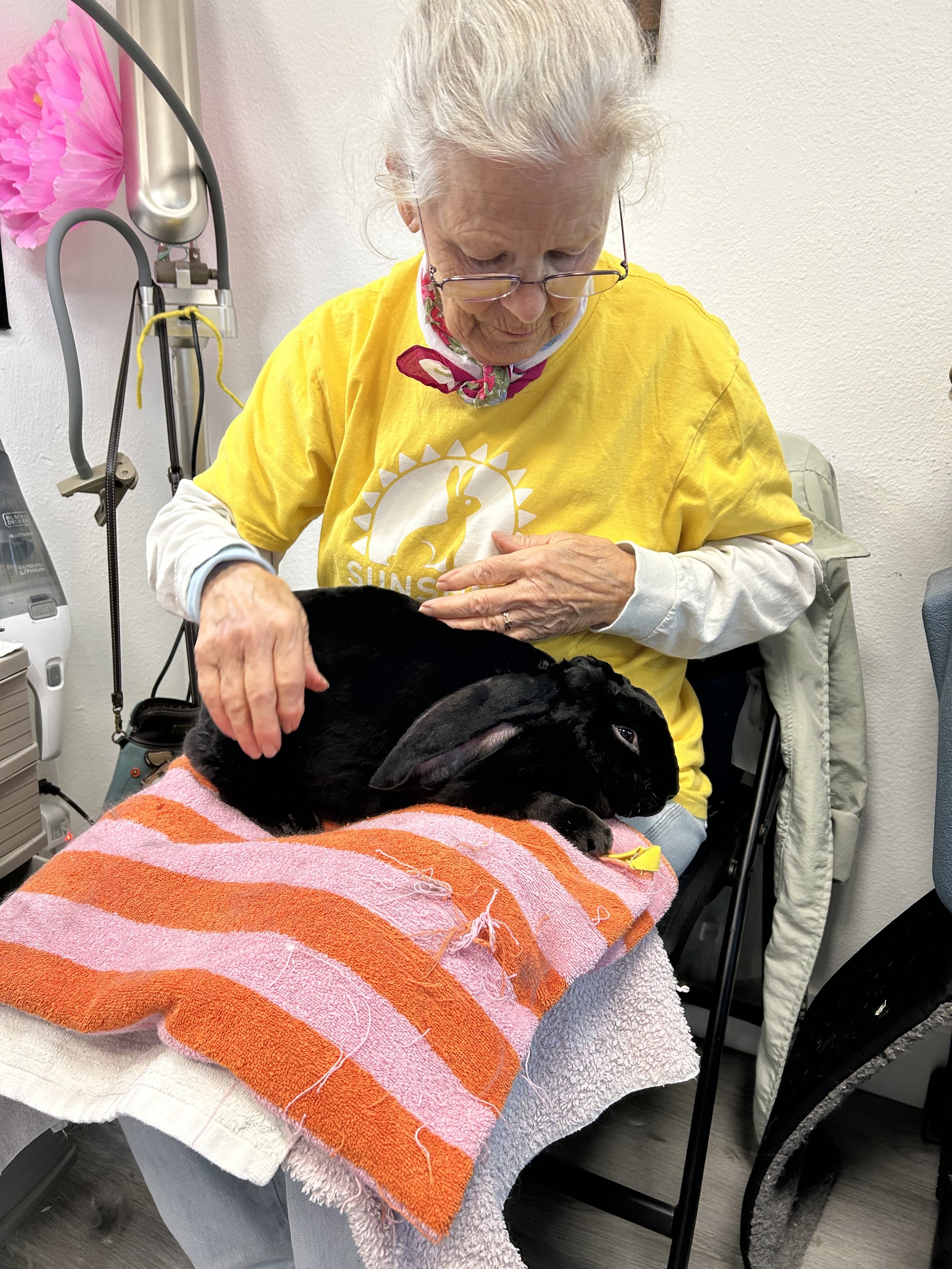 Photo of older woman seated with a black rabbit on her lap