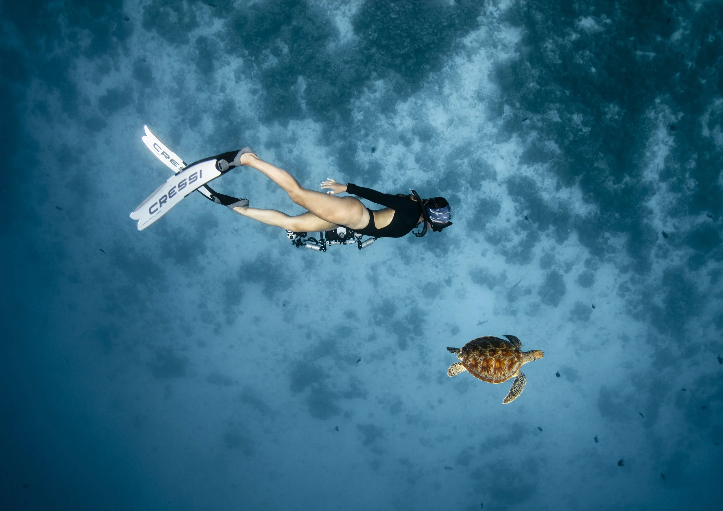 wyldephotography_maldives25-59.jpg