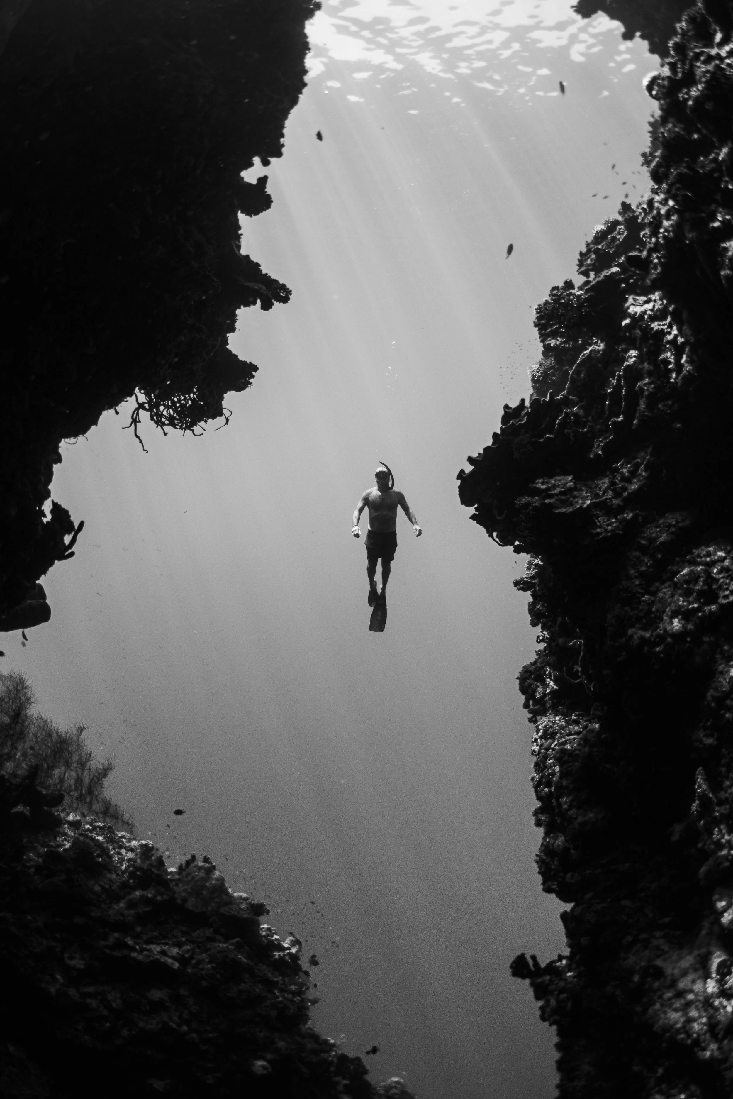 wyldephotography_maldives25-75.jpg
