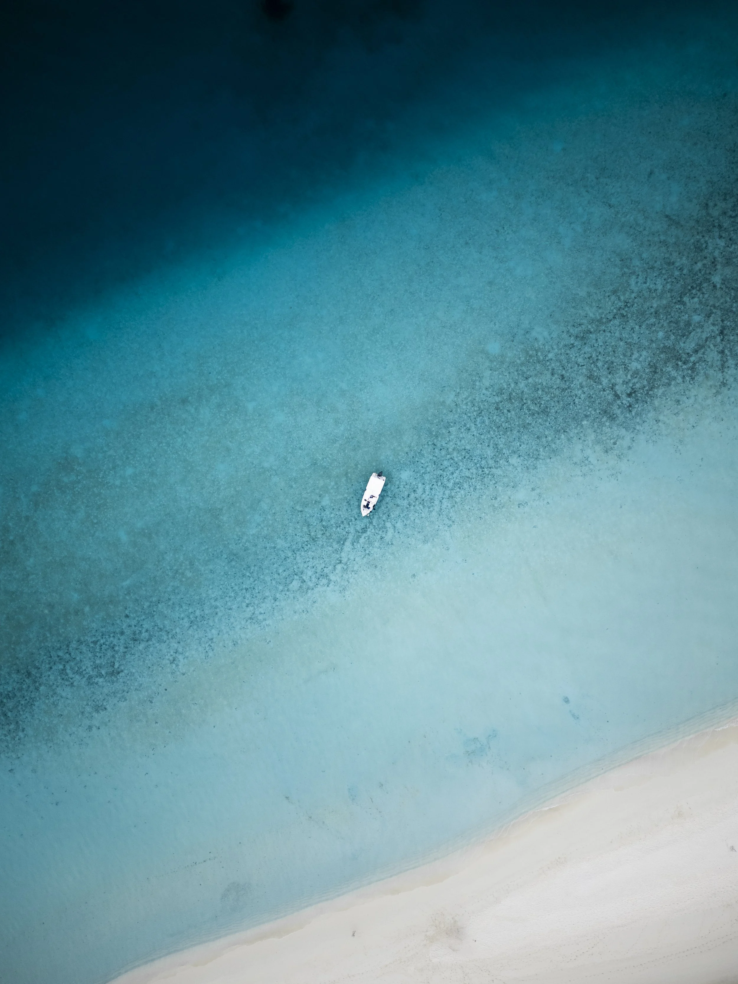 wyldephotography_drone-3.jpg
