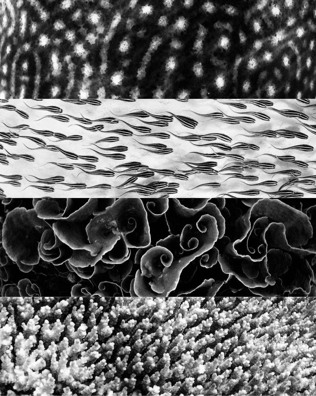 Stills from the ocean in black &amp; white.

The ocean, and the role she plays in human life, has been sitting on my mind a lot lately. There is a deep privilege in simply witnessing her at all; not as owners or controllers, but as temporary observer