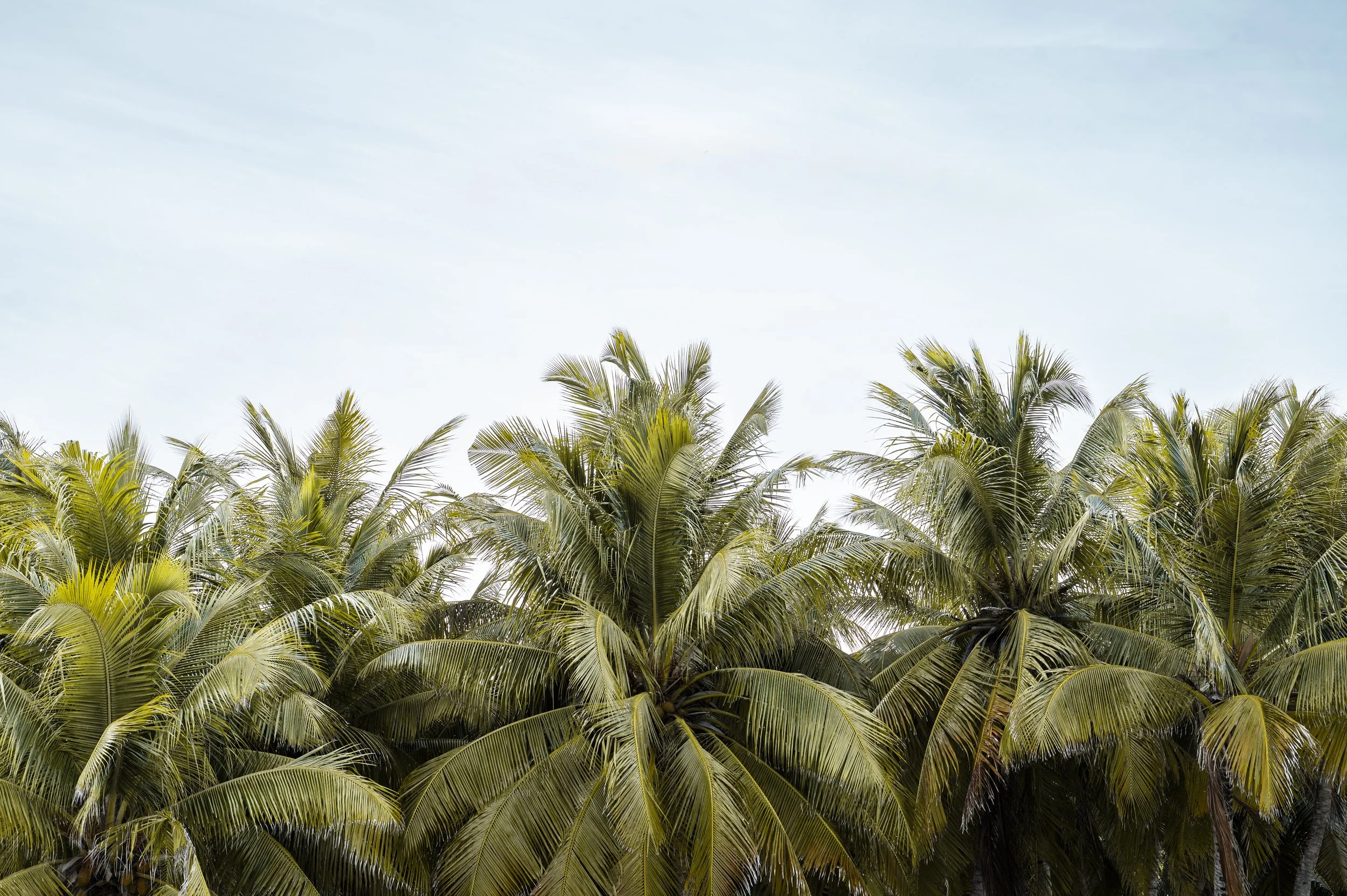 wyldephotography_maldives25-101.jpg