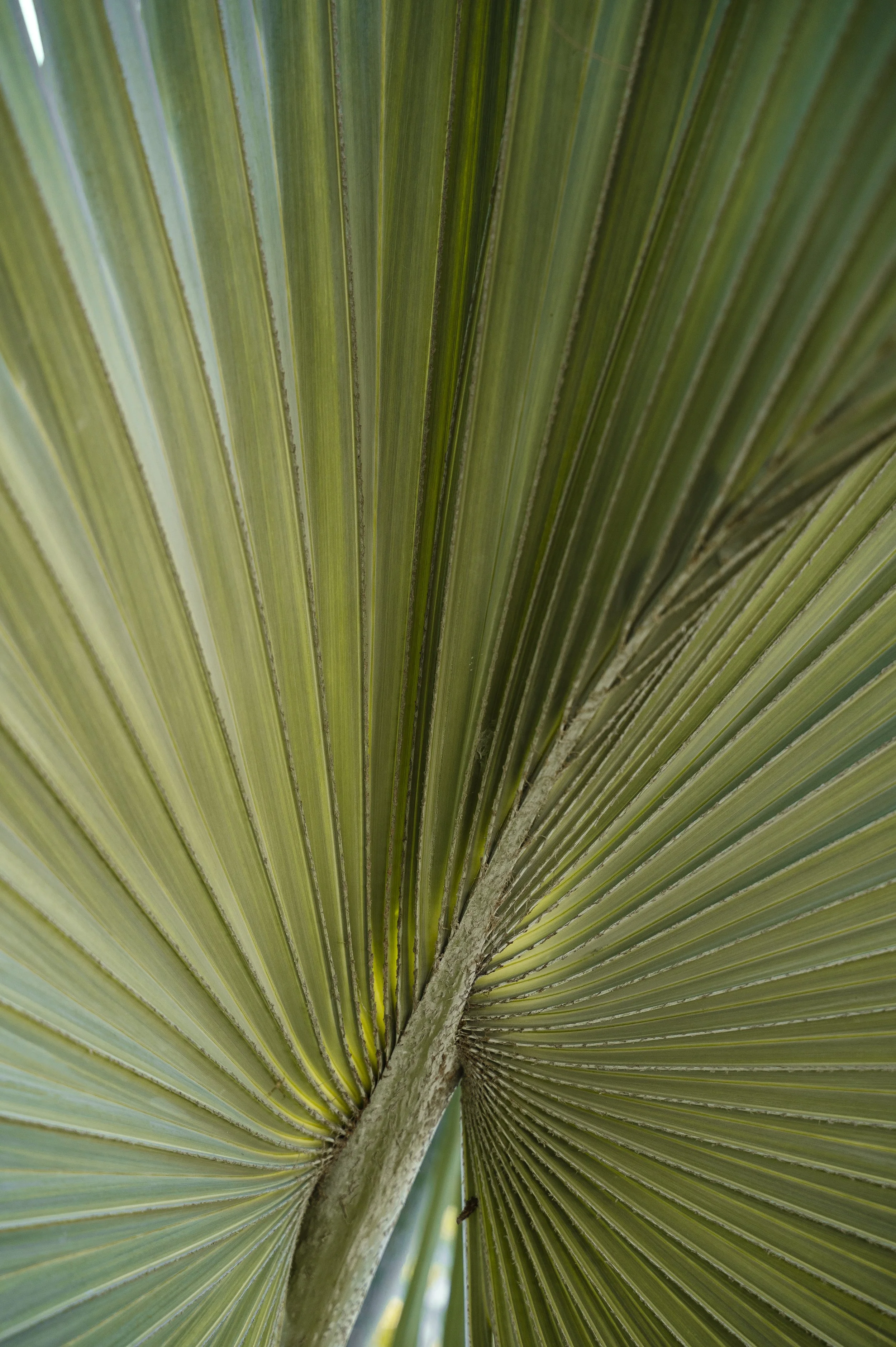 wyldephotography_reconnect25-23.jpg