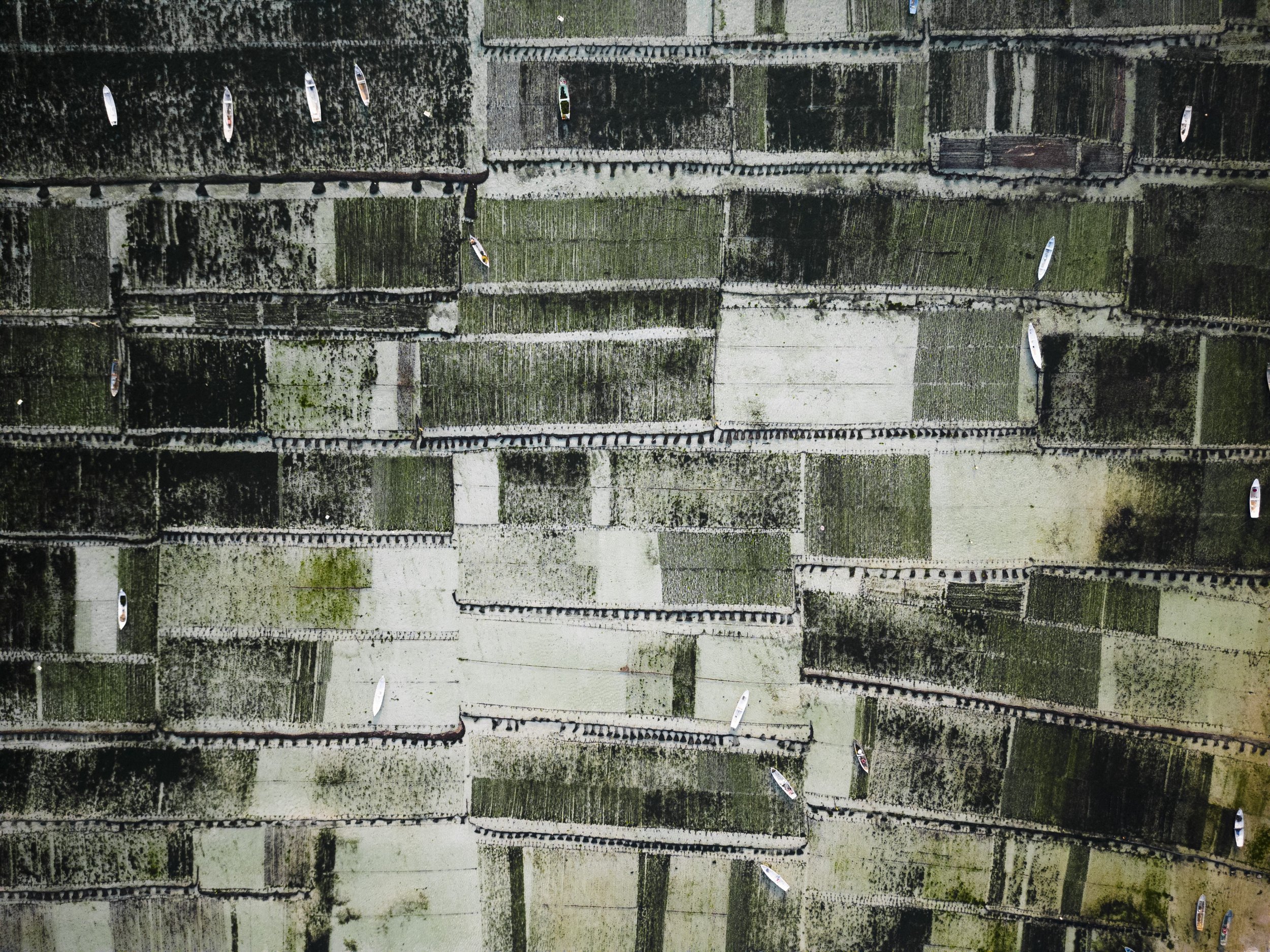 wyldephotography_seaweedfarm.jpg