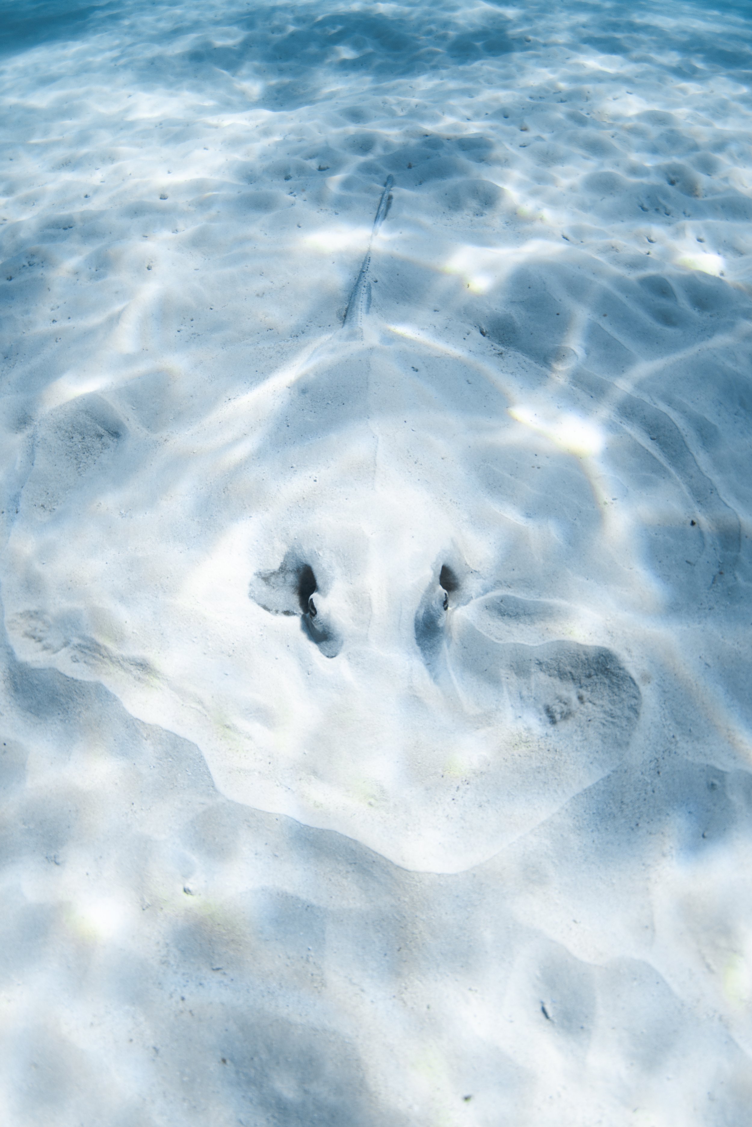wyldephotography_NR25-18.jpg