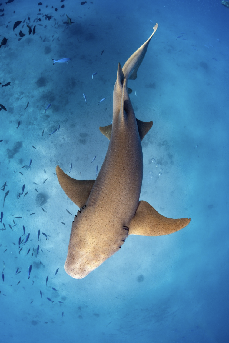 Screenshot 2026-03-04 at 11.27.38 am.png