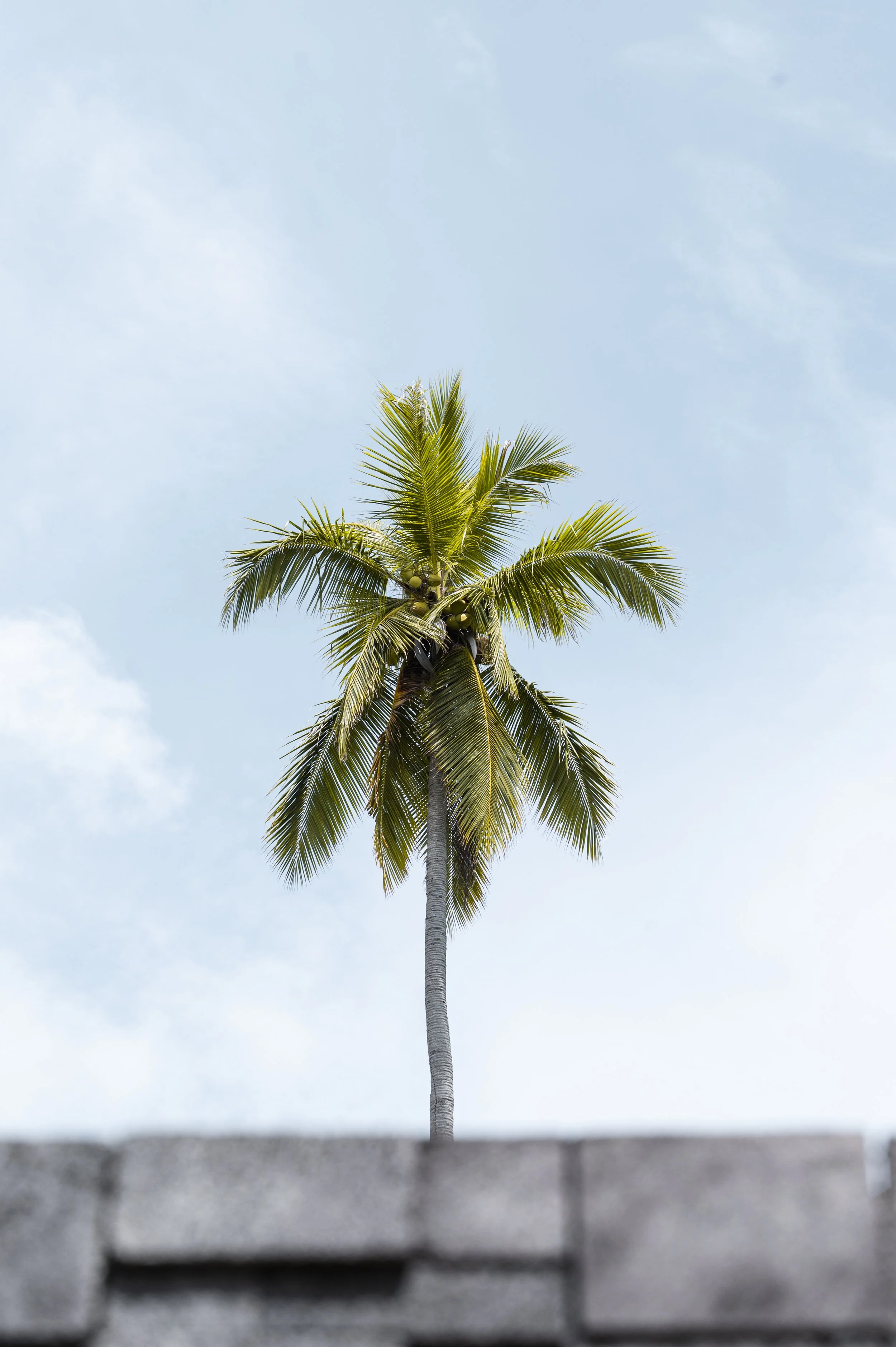 wyldephotography_maldives25-9.jpg