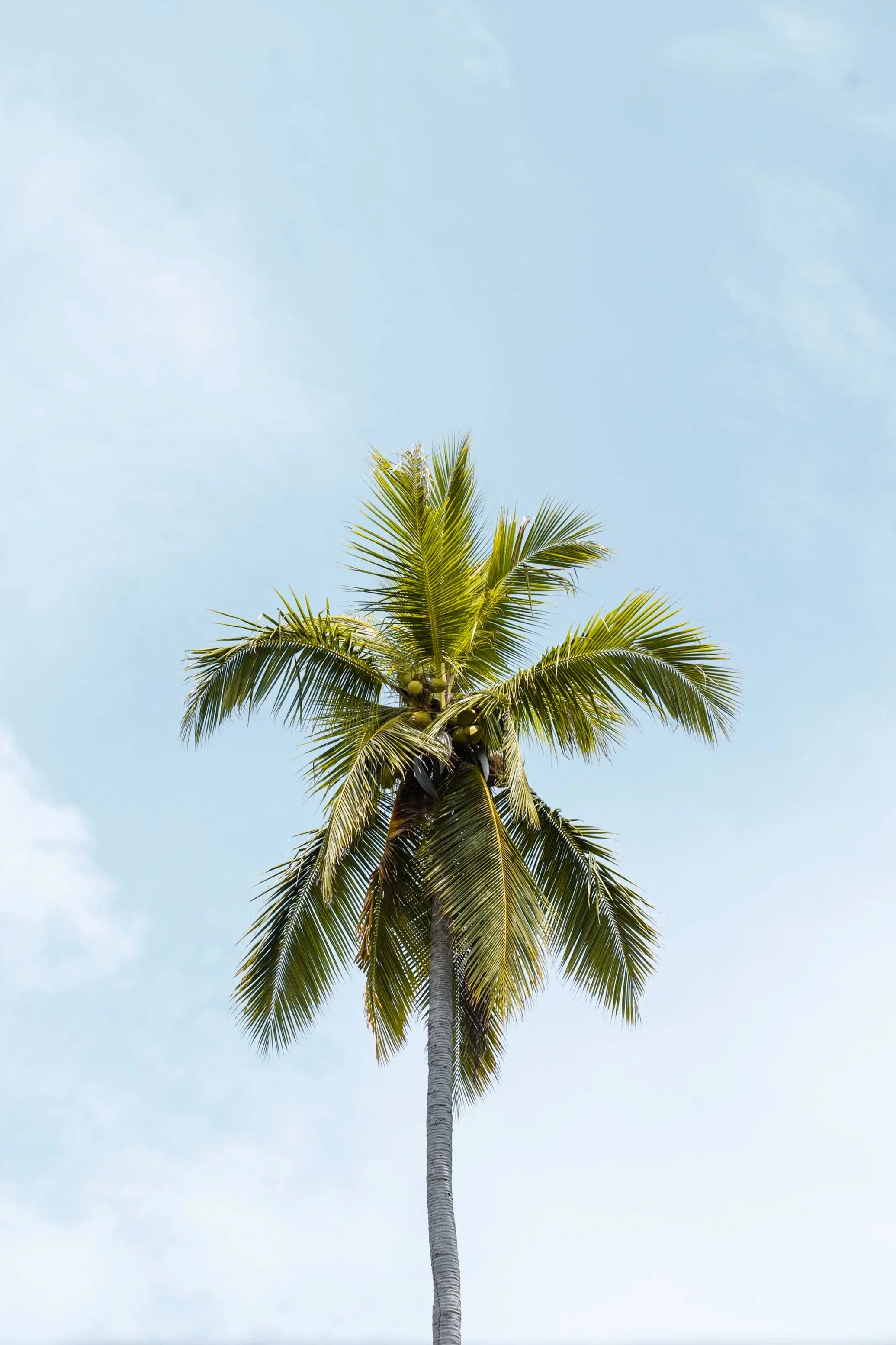 Adventure & Destination