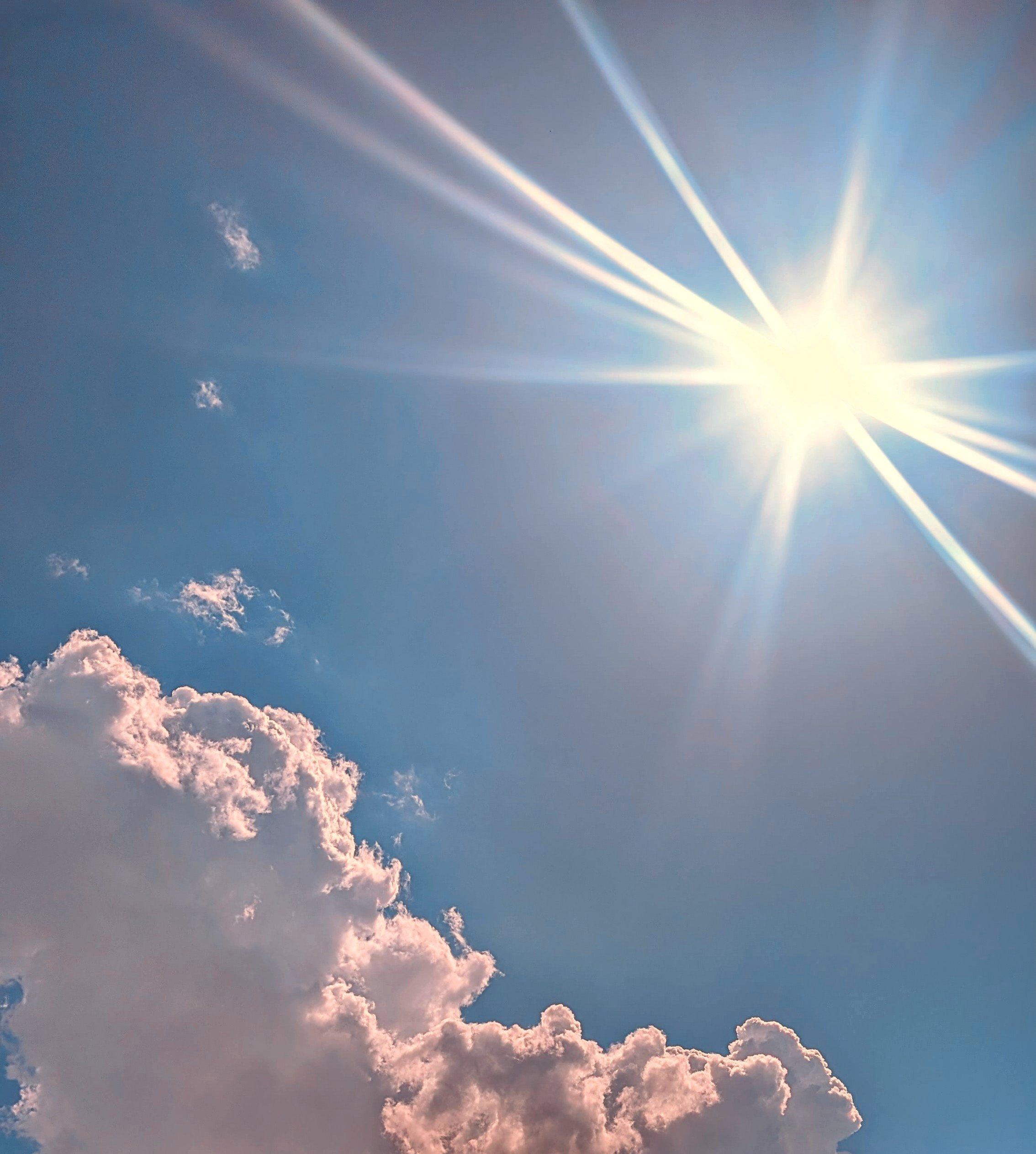 Society at Its Zenith: A Mirror of Our Collective Inner Child