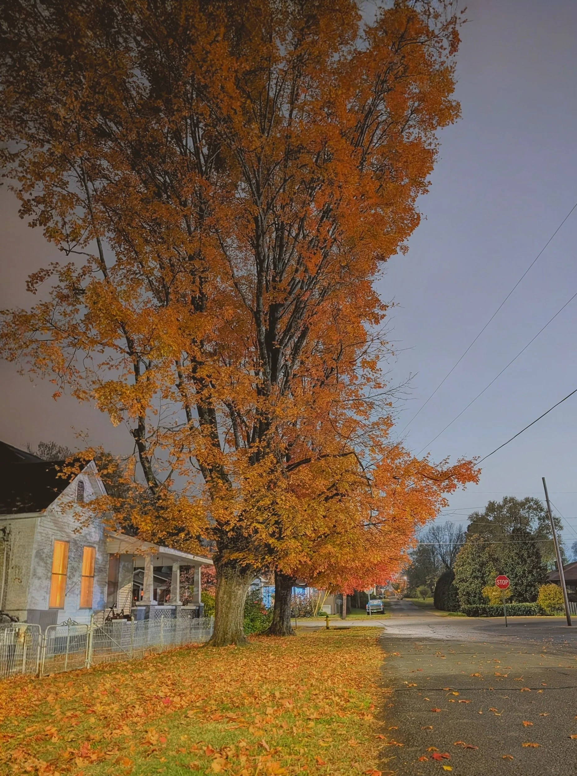 Scrolling Through Time:The Fractured Clock of Modern Life