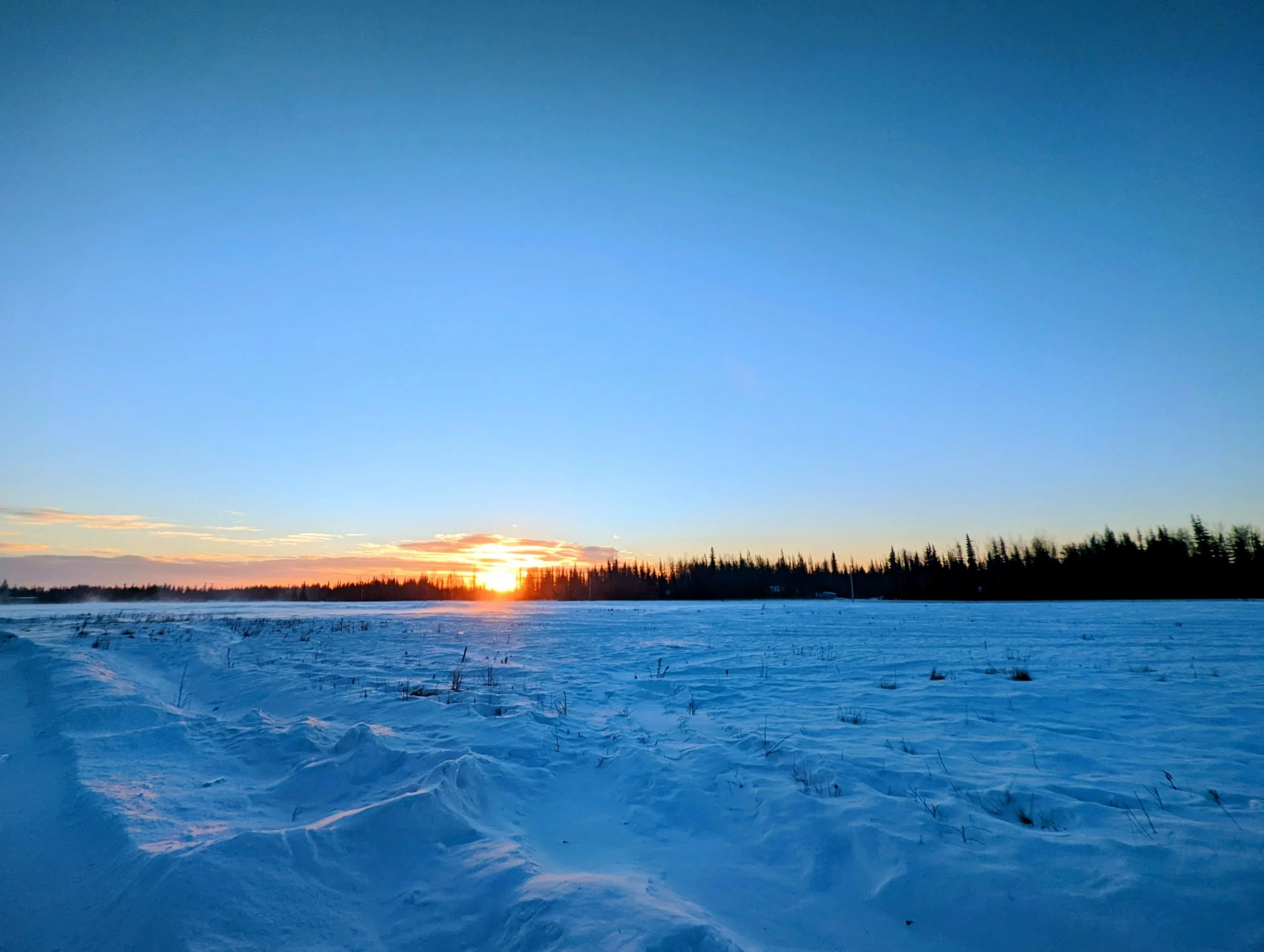 The Shortest Day, The Longest Night, &amp; The Returning of Light 