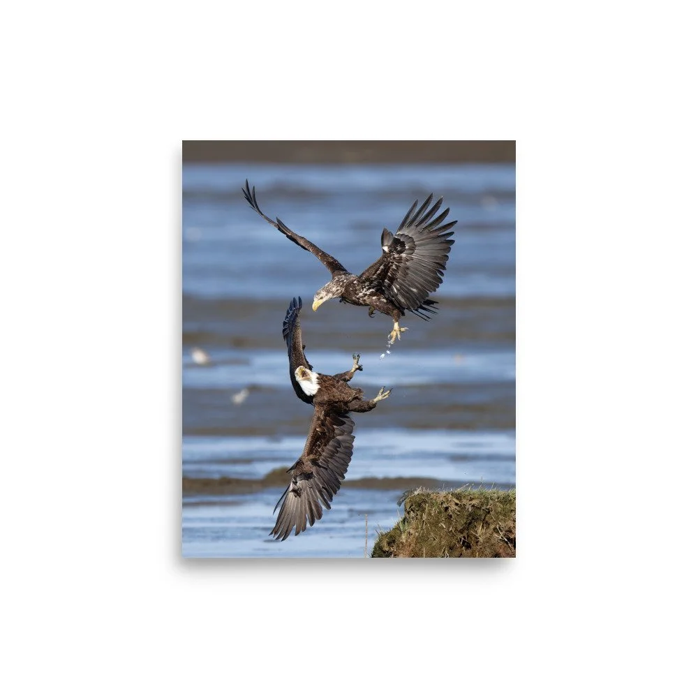 premium-luster-photo-paper-poster-(in)-8x10-front-680ed9913b7db.jpg