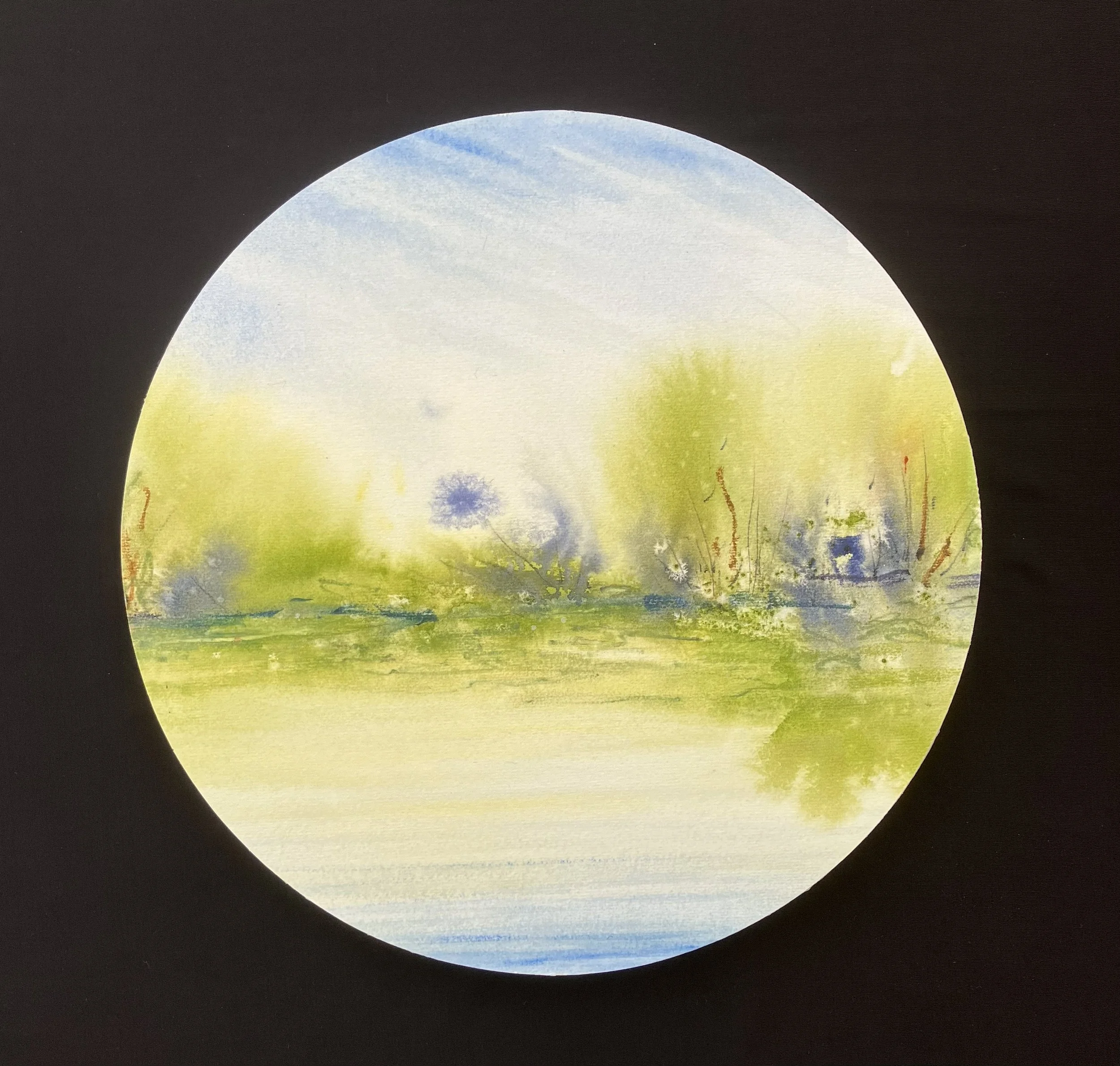 Garden Series - Summer 1