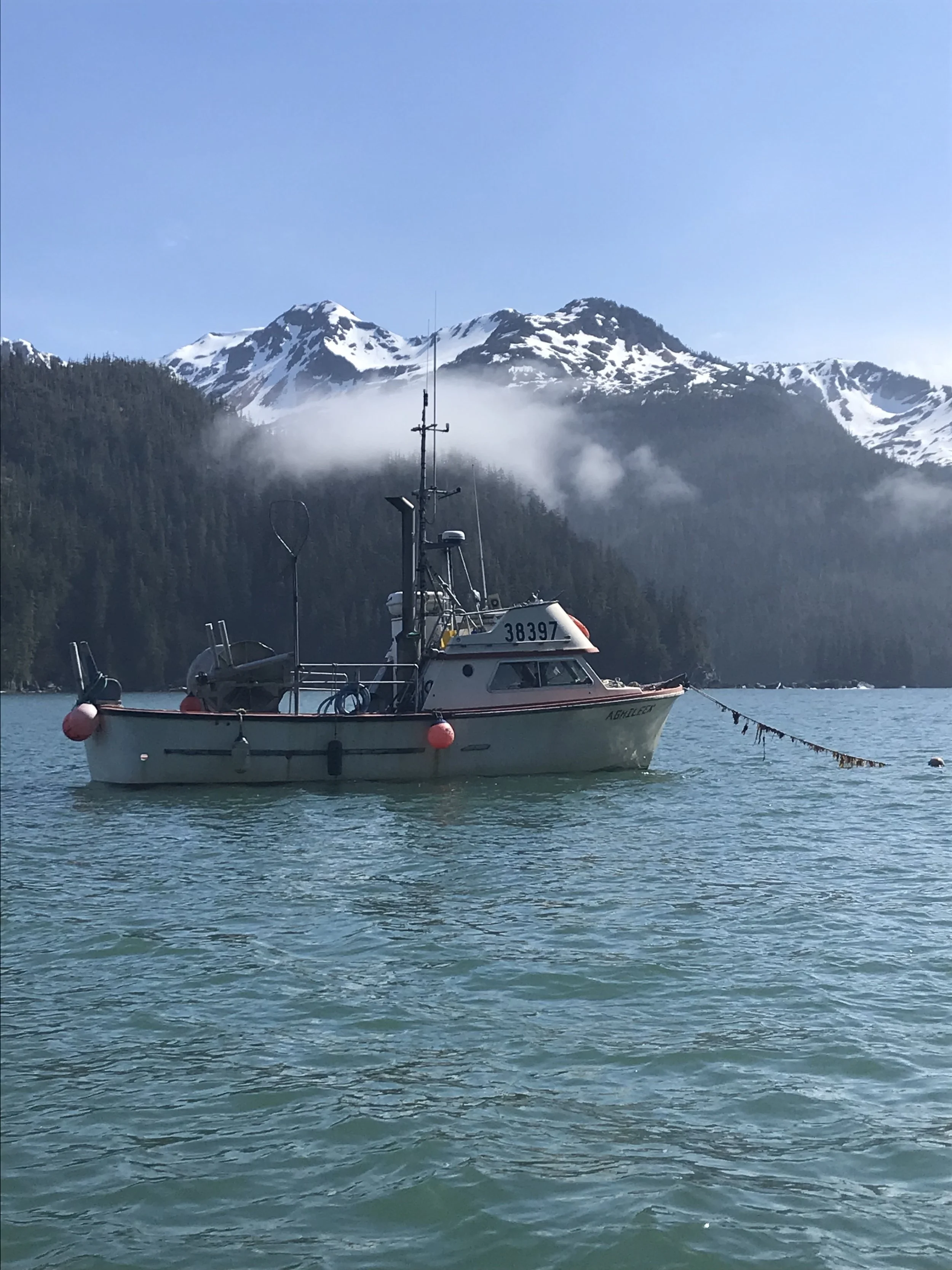 Fishing boat from Homer, Alaska on anchor in a bay in Cook Inlet waiting to go fishing for wild sockeye salmon.