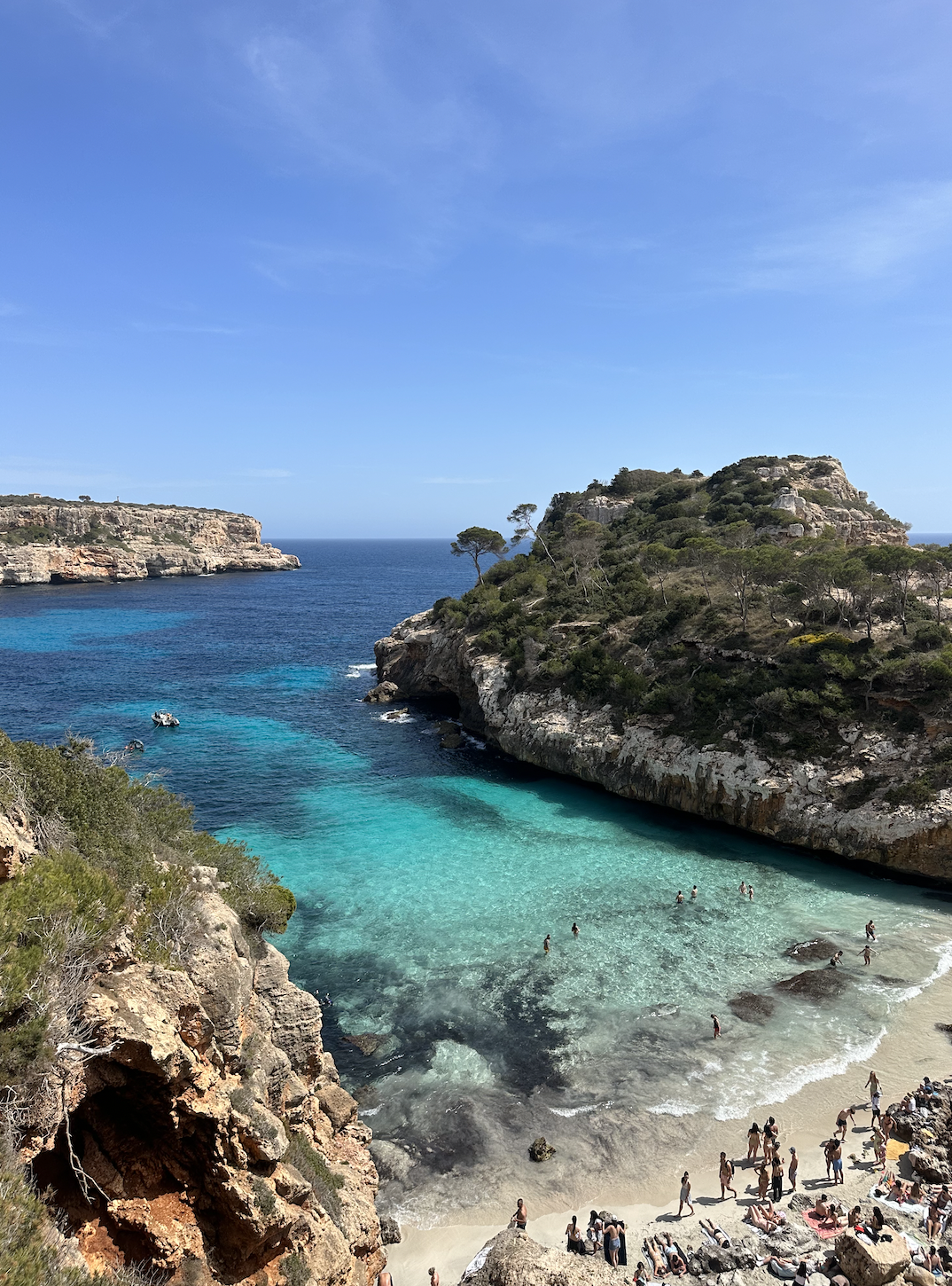 Screen Shot 2025-06-11 at 4.01.11 PM.png