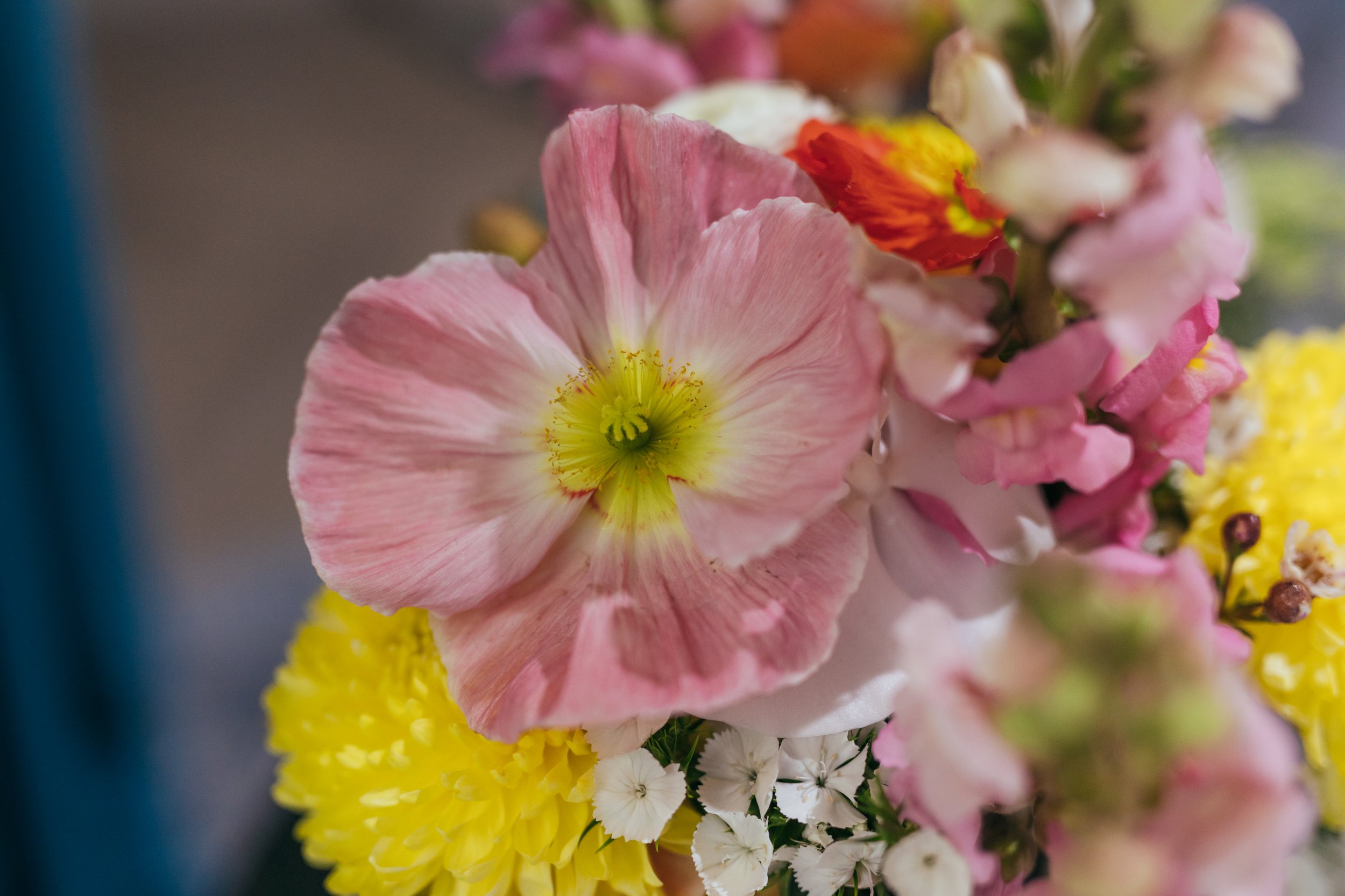 Zac  Issie Wedding Day Collection-25.jpg