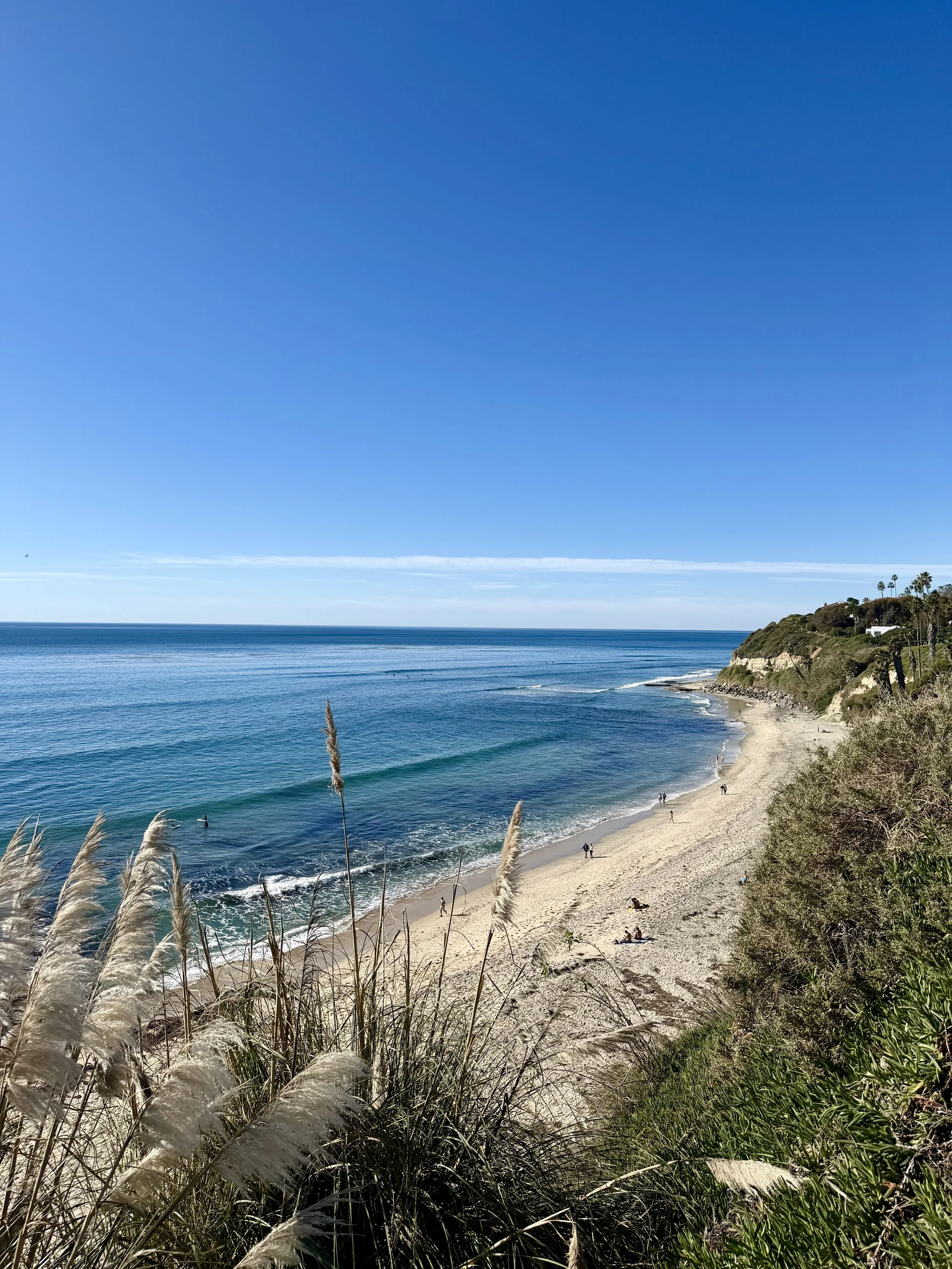 A Softer Beginning to 2026