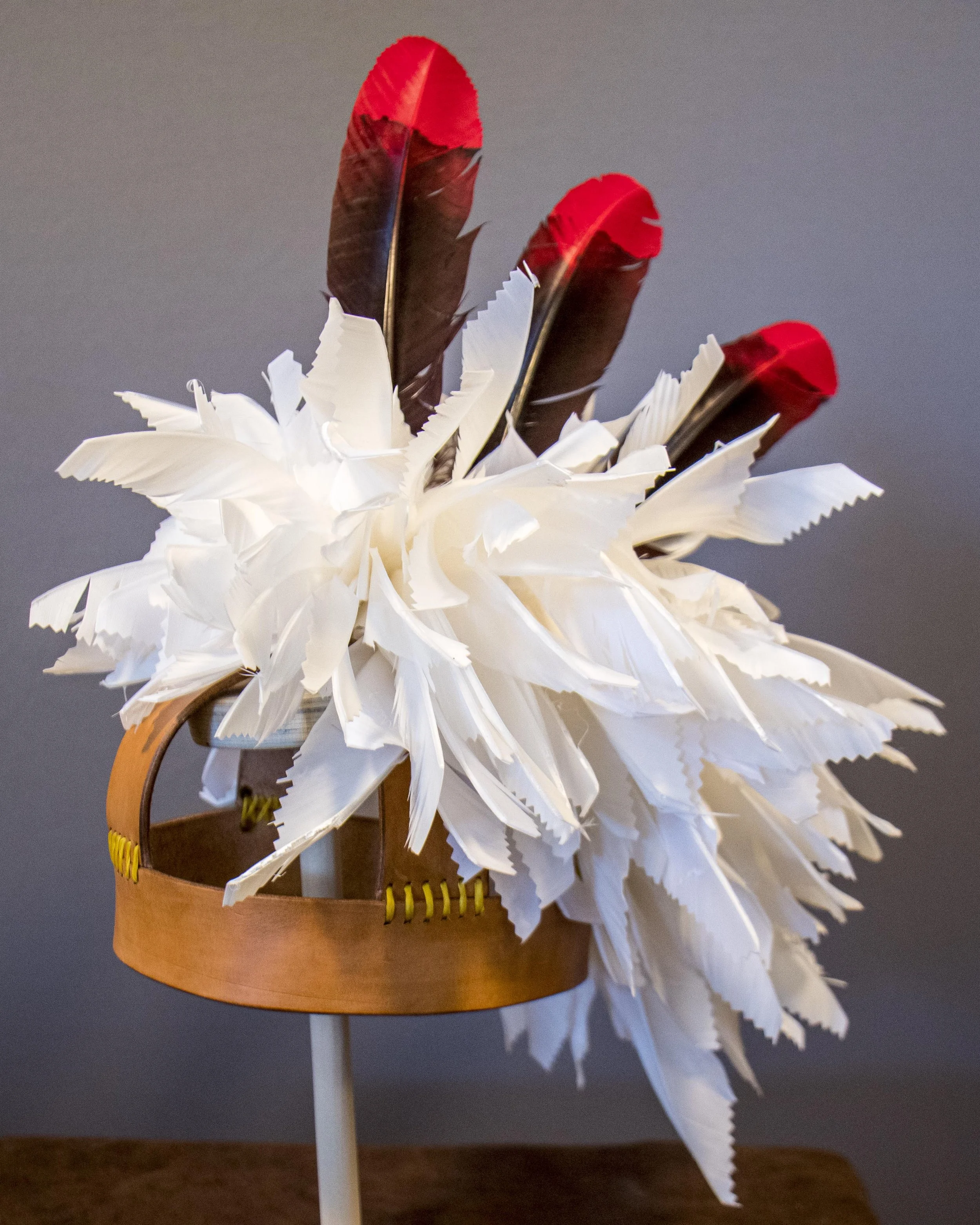 Kastowa-ColoredTopFeathers.jpg